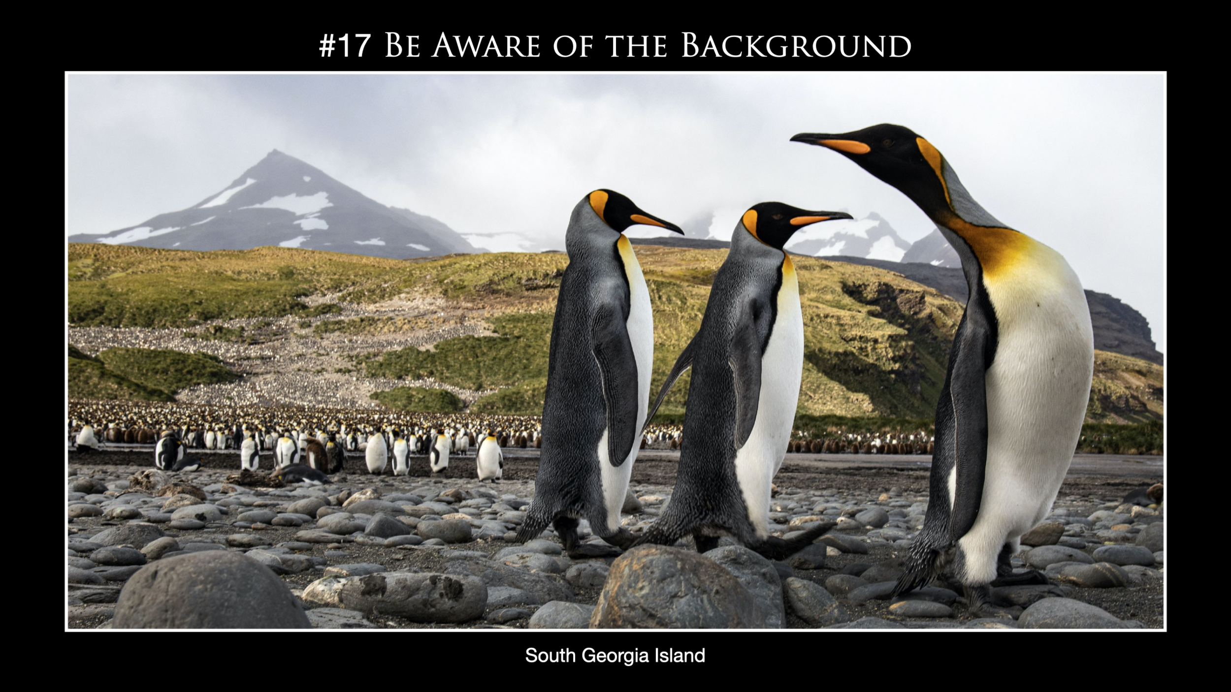 Screen Shot 2020-12-04 at 4.30.25 PM.png