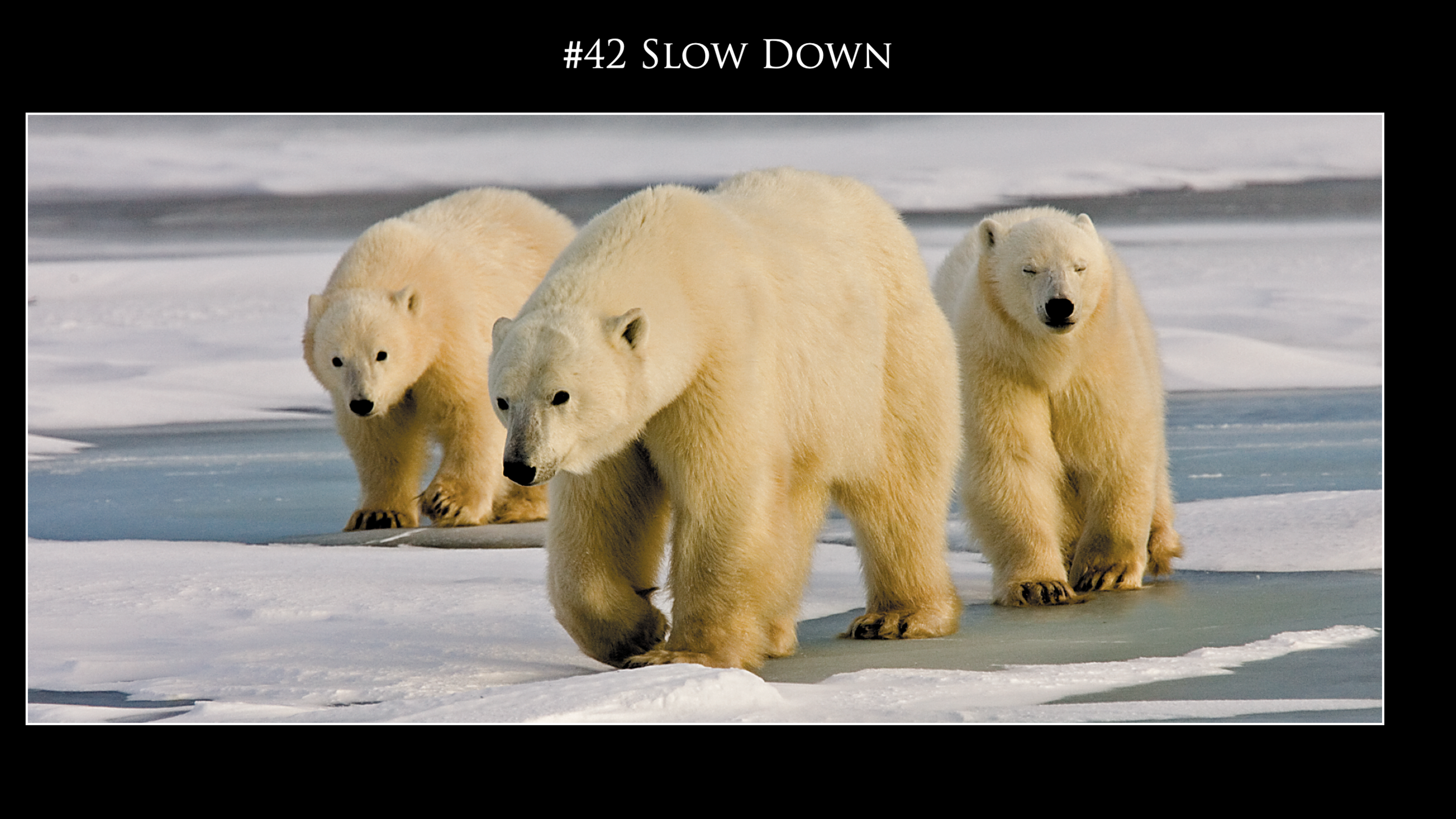 Screen Shot 2020-12-05 at 3.17.05 PM.png