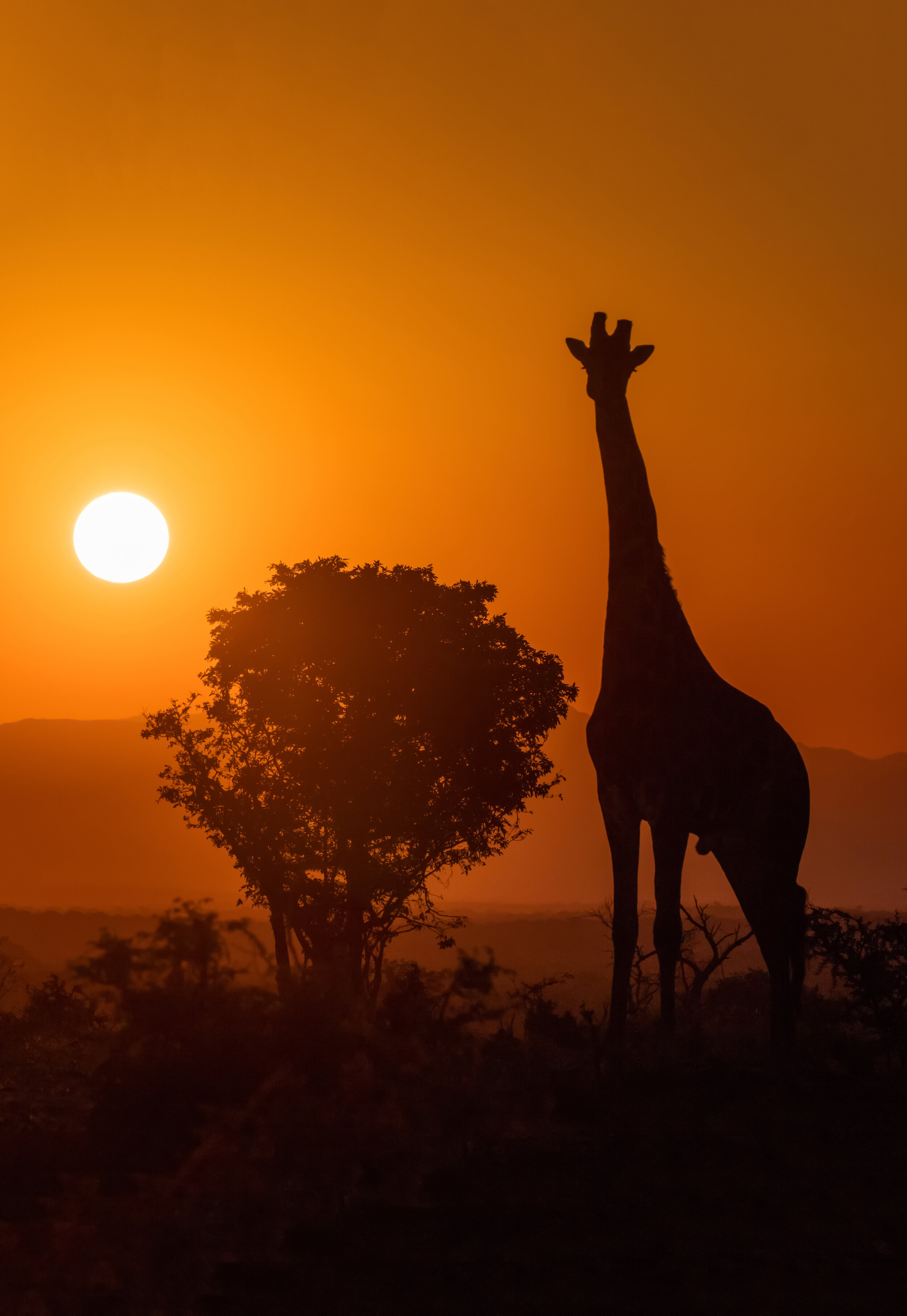 3. End of Day on Safari – South Africa