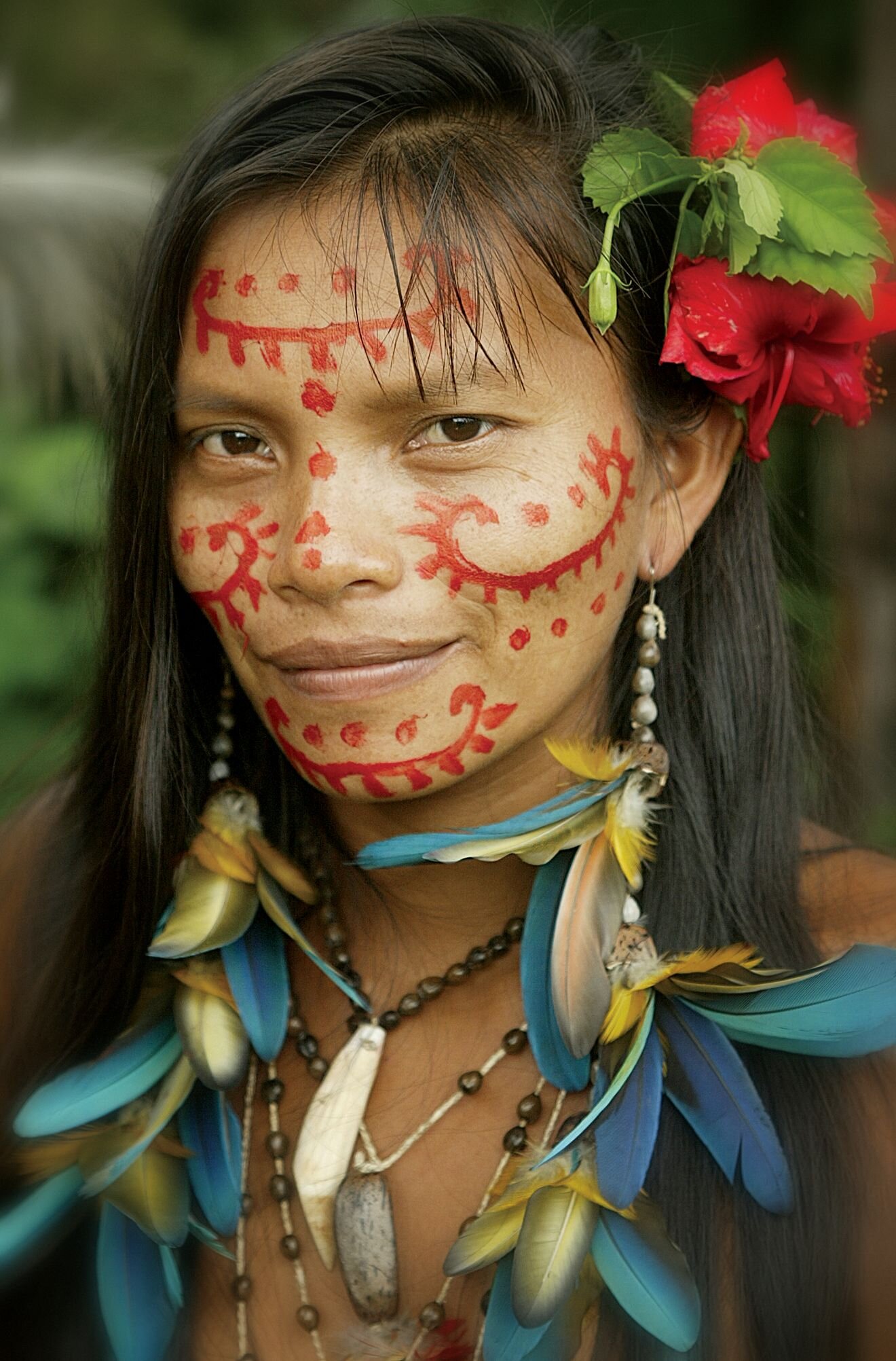 26 Face to Face in the Rainforest – Amazonian Rainforest, Brazil