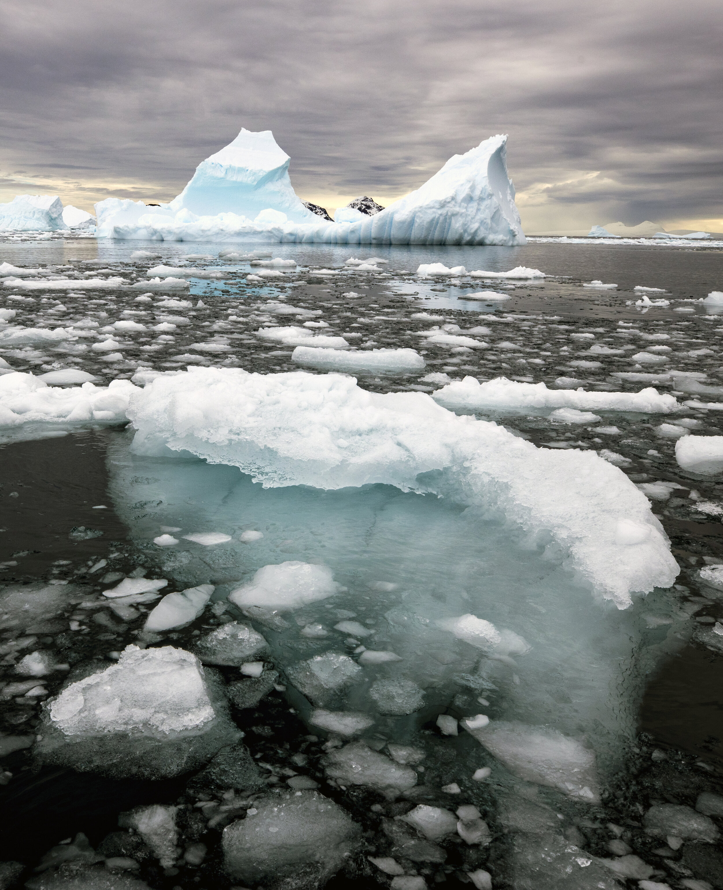 27.  The Calm Before the Storm – Antarctica