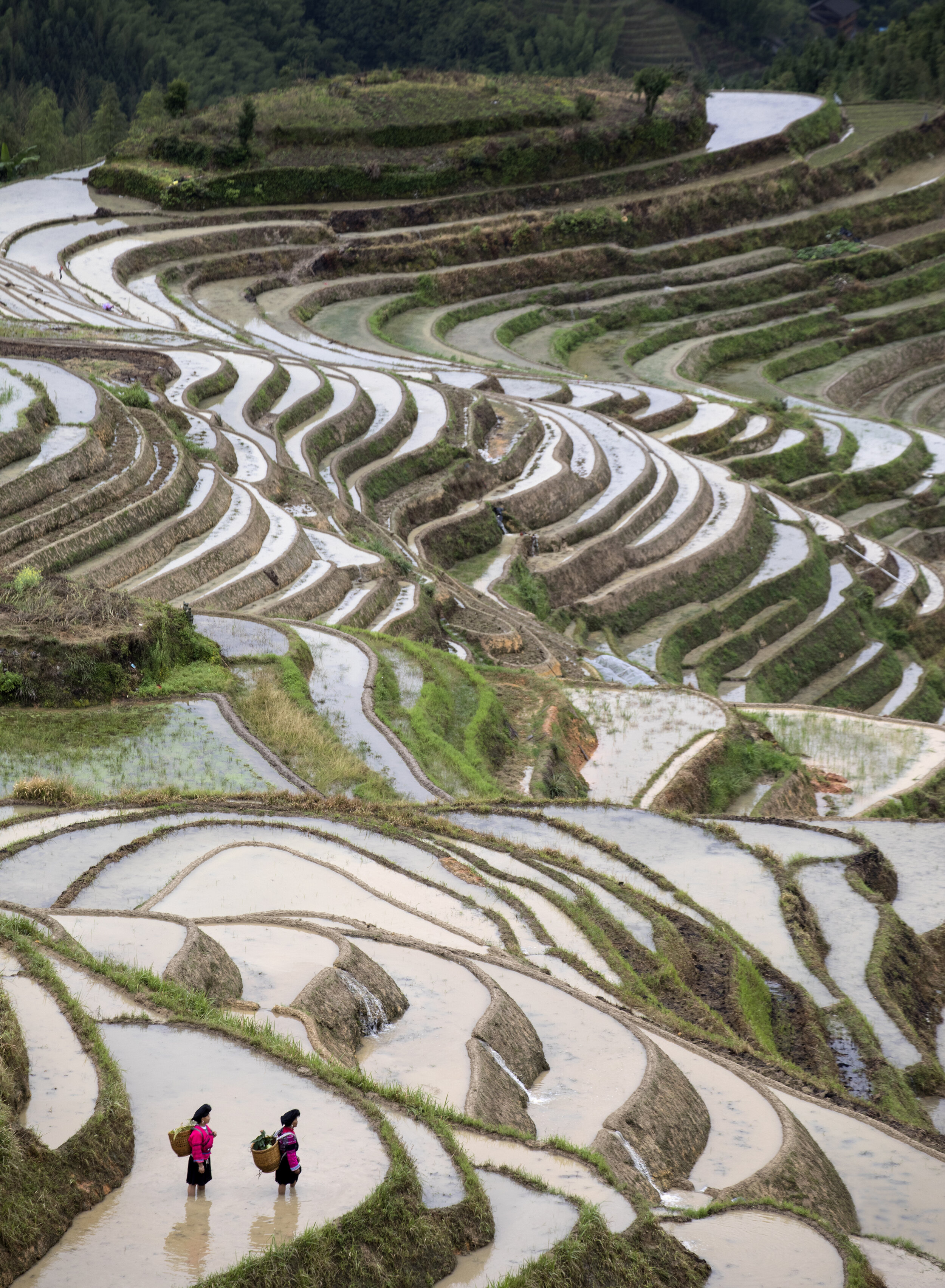 36. The Landscape Photographer’s  Achilles Heel – Longhi Rice Terraces, China