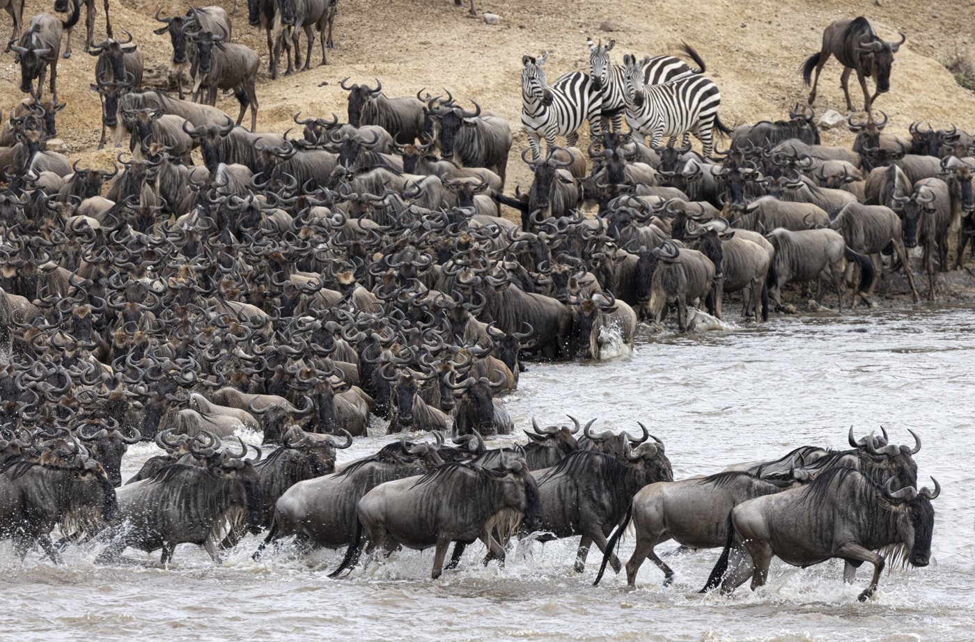 Mara River Crossing