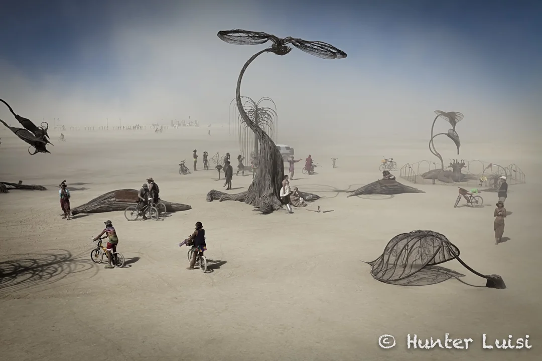 Desert Garden