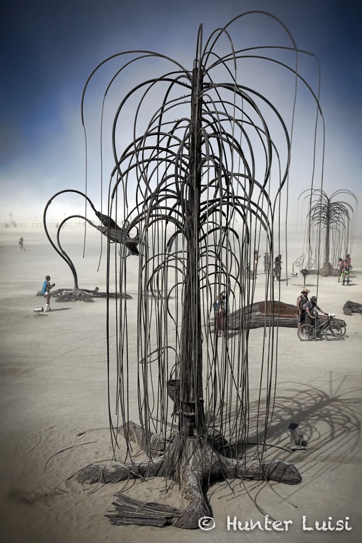Tangle Tree