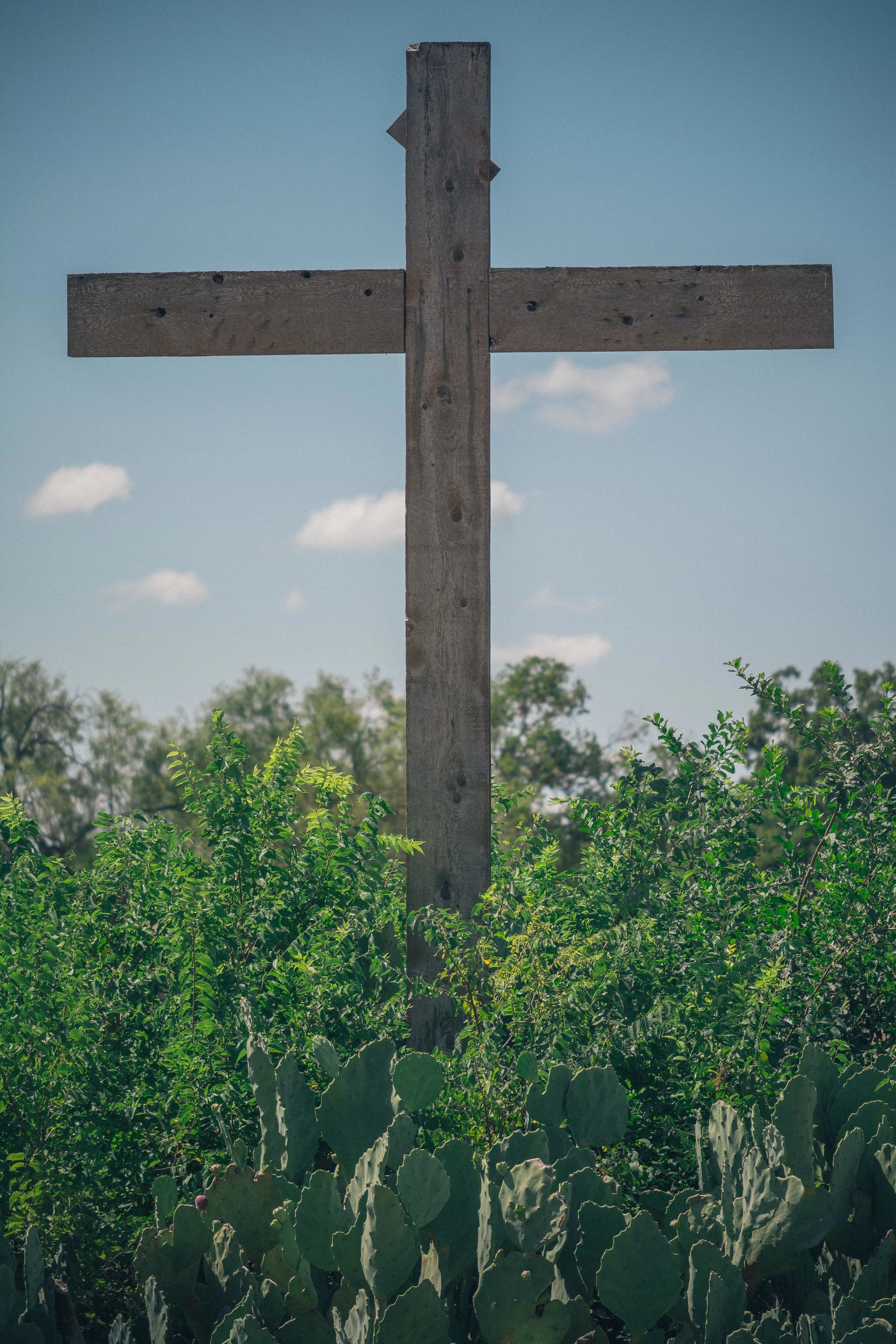 SA_Missions_2013-9-1-6.jpg