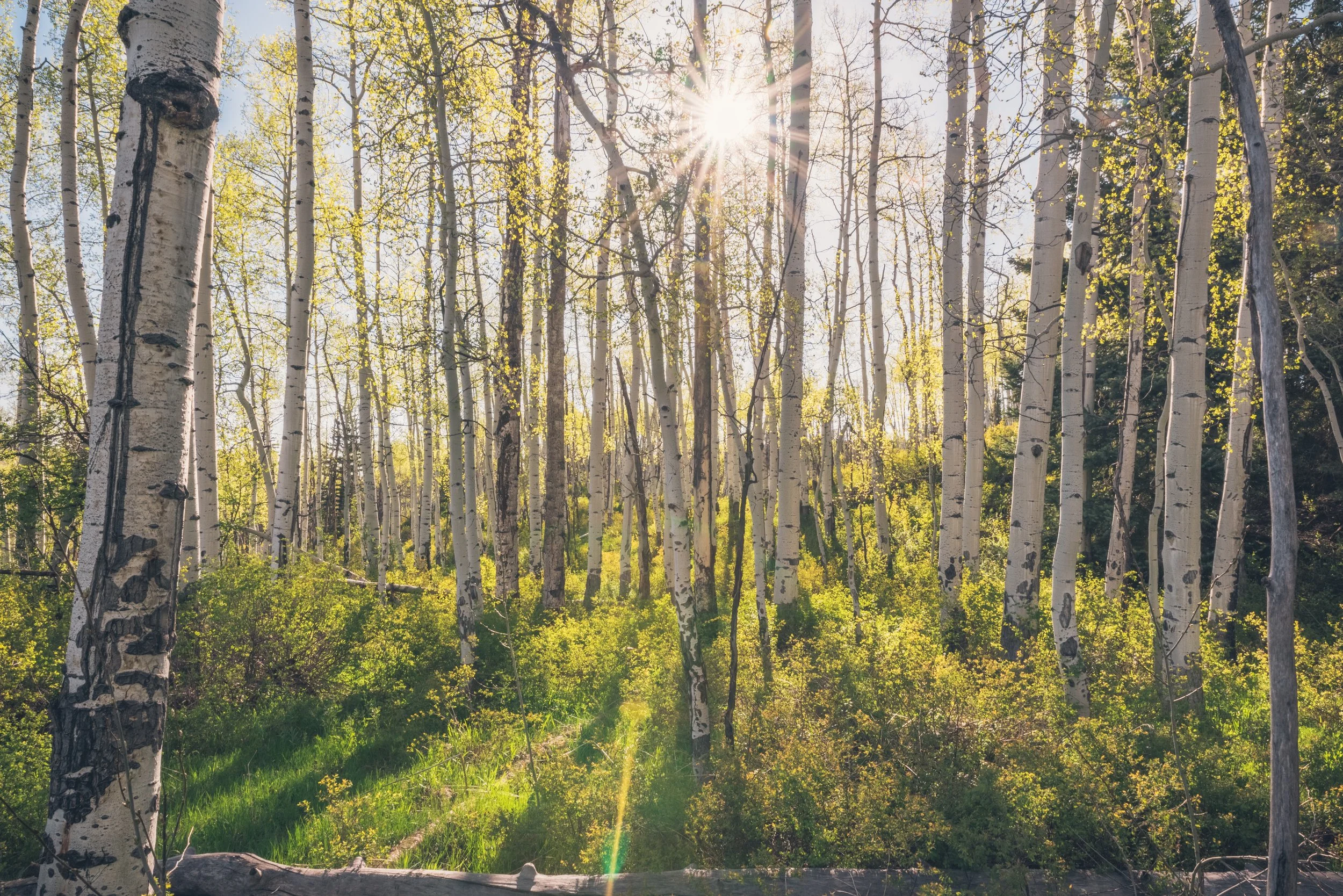 -T Ranch Montrose Colorado-21-2-HDR.jpg