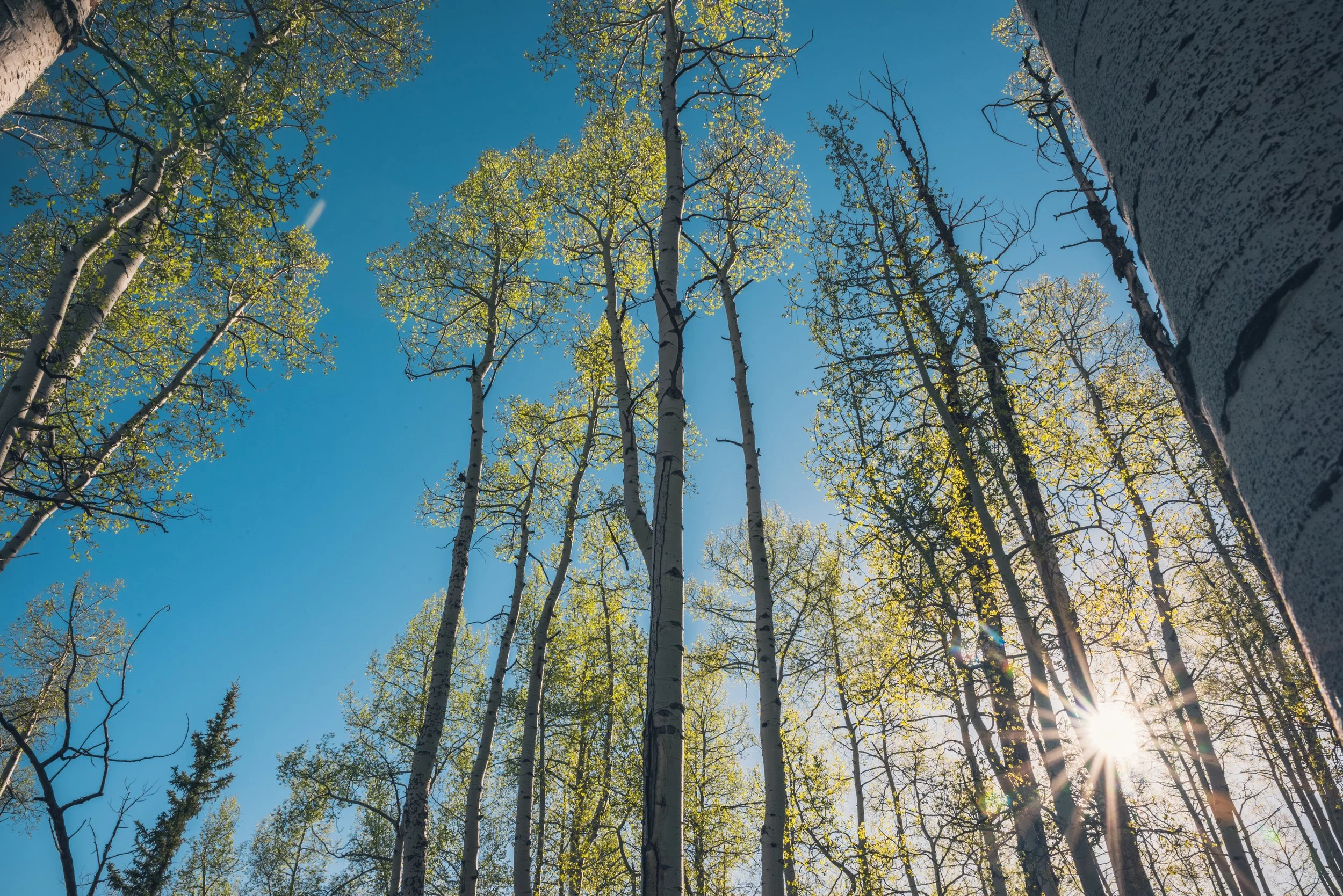 -T Ranch Montrose Colorado-31-2-HDR.jpg