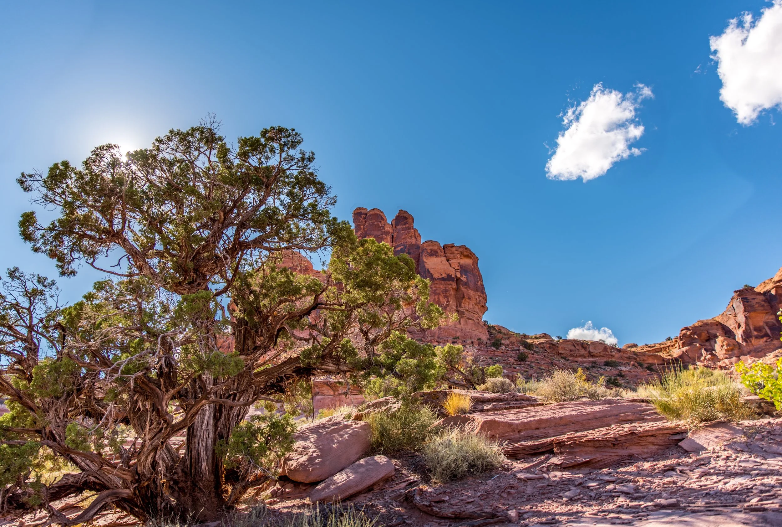 ROAM EXPEDITION 2015-762-6-HDR.jpg