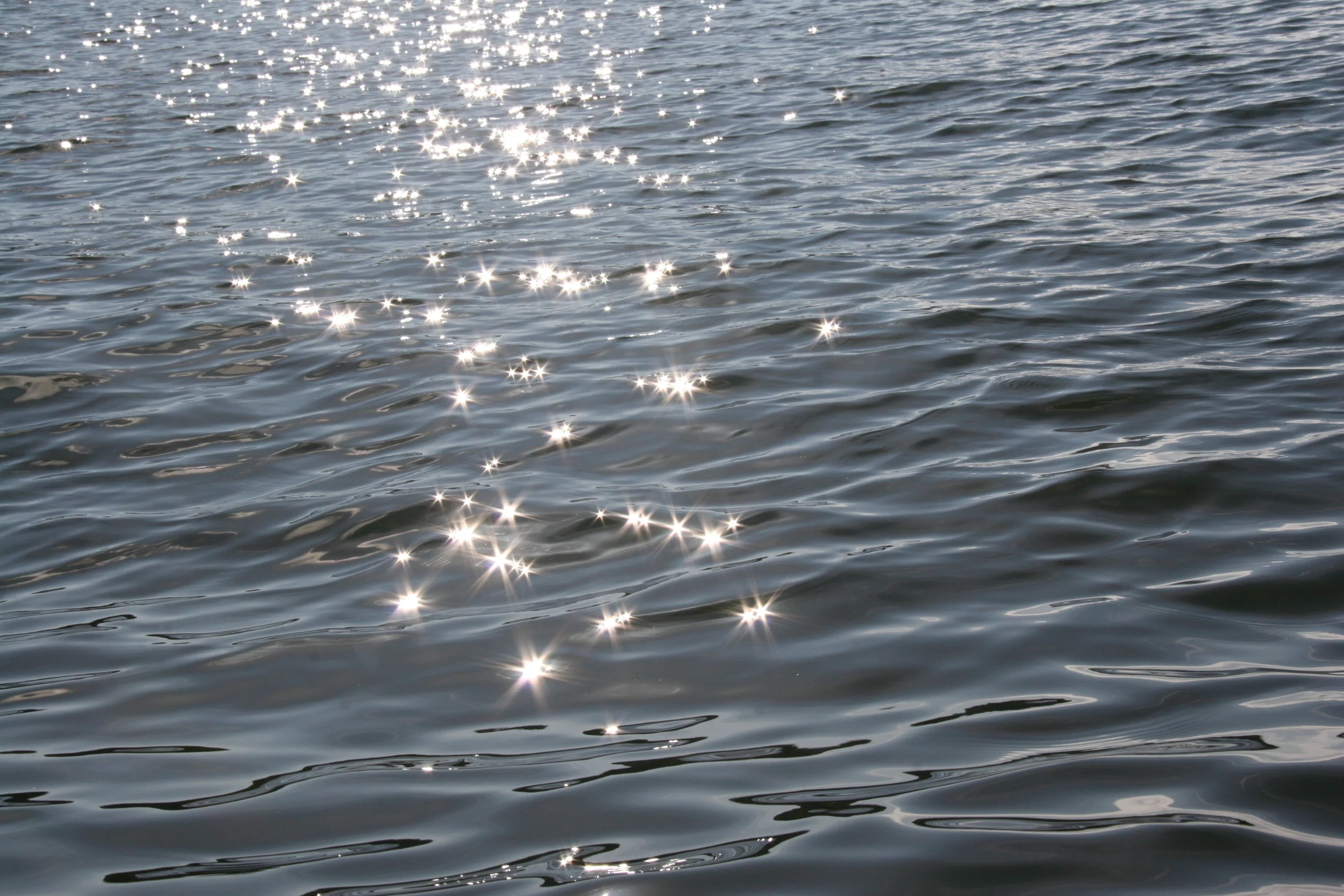 6-19-2010 Cascade Head (28).JPG