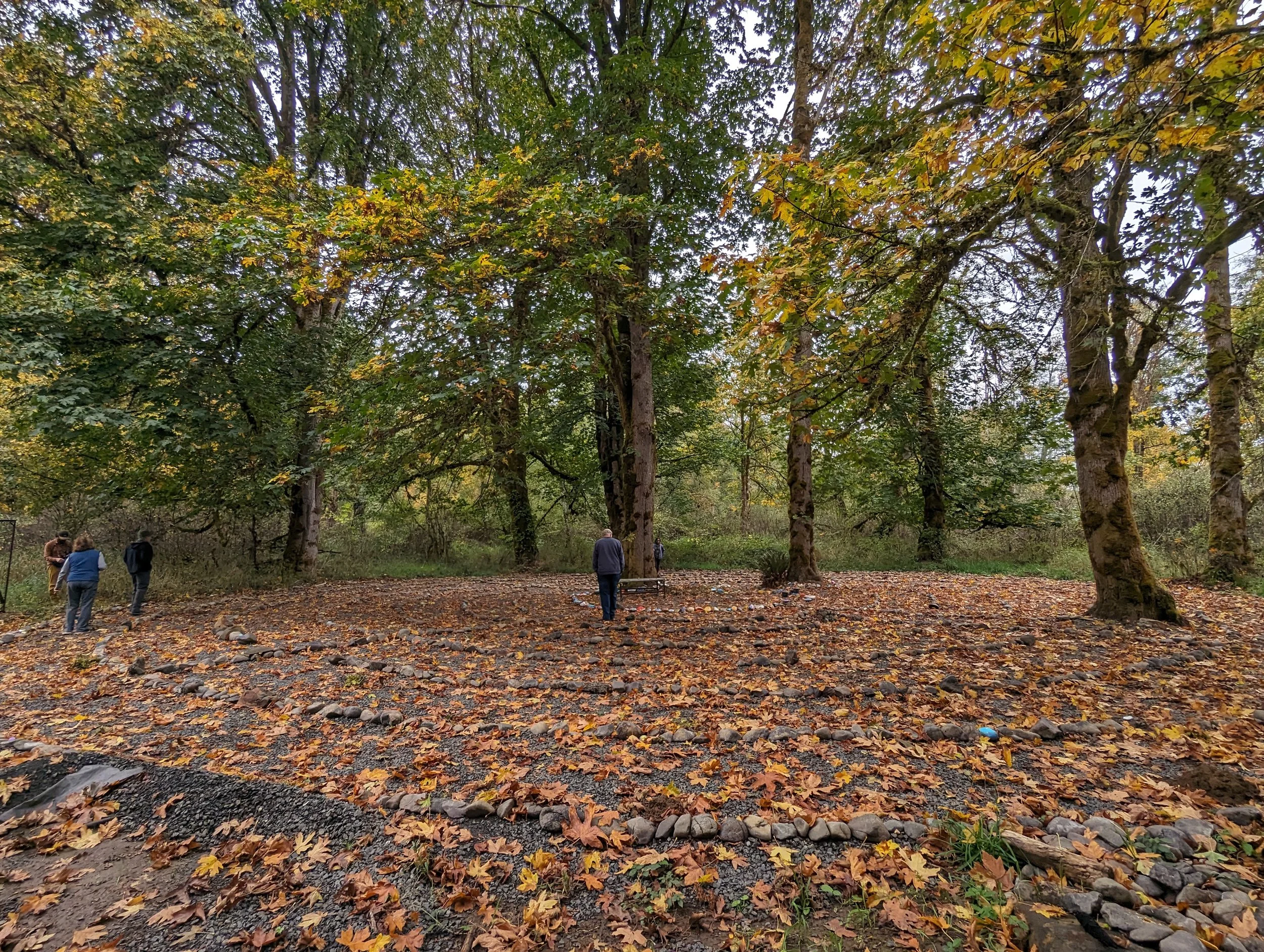 PXL_20231014_205329710 (1).jpg