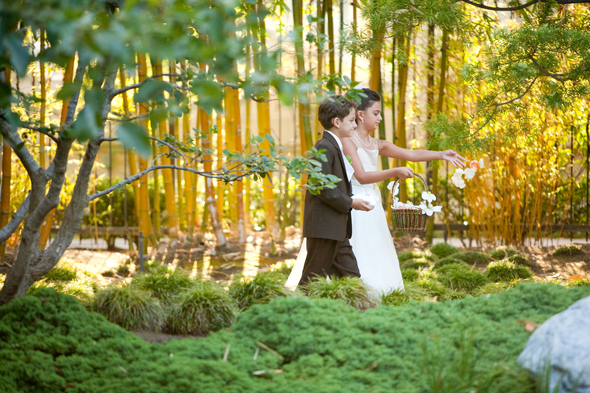 Pomeroy_0822 - Processional - Brendan and Chloe walking in.jpg