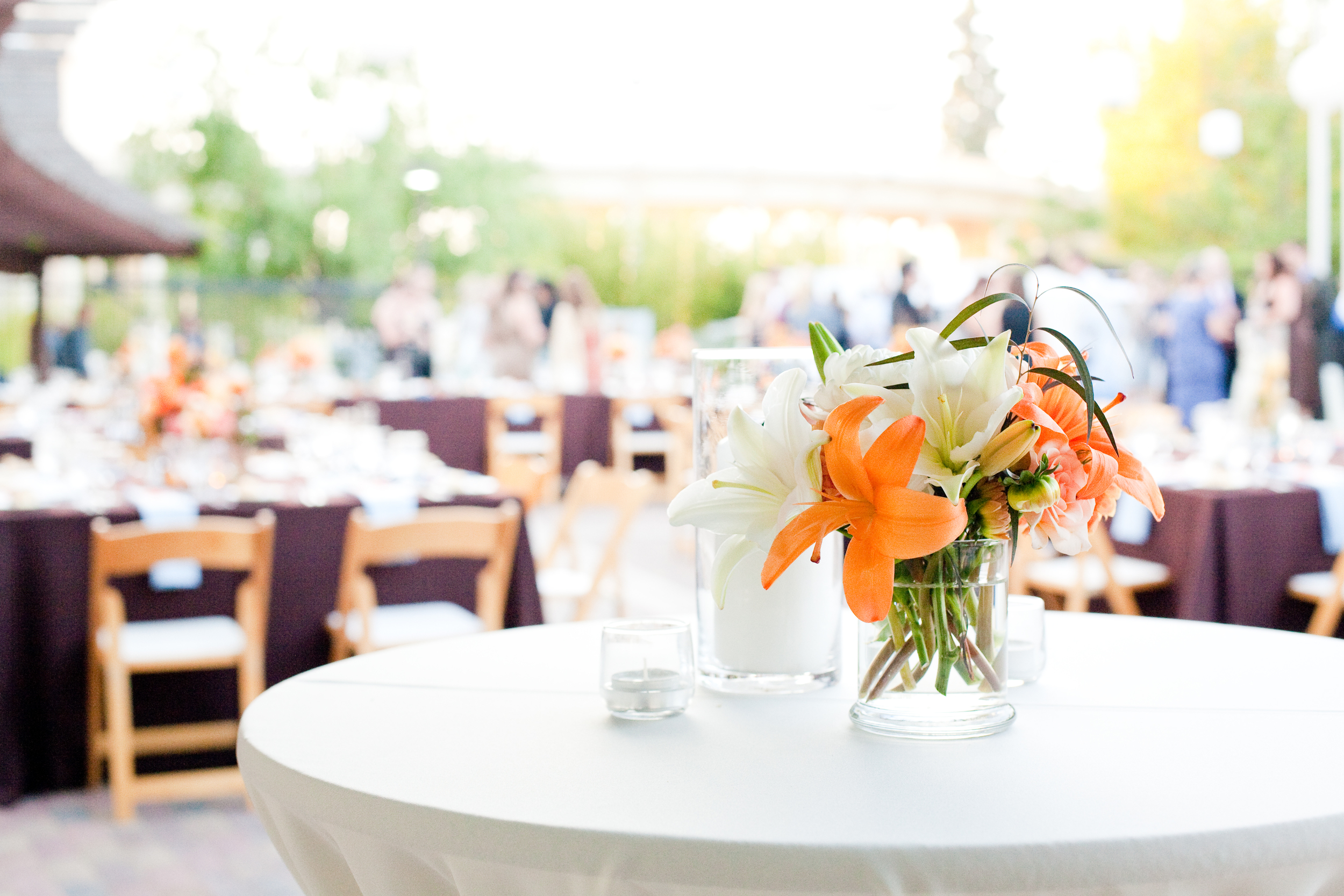 Pomeroy_1323 - The Venue - solitary flowers.jpg
