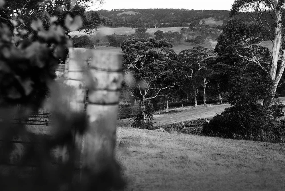 Collalto-DSF2589-bw.jpg