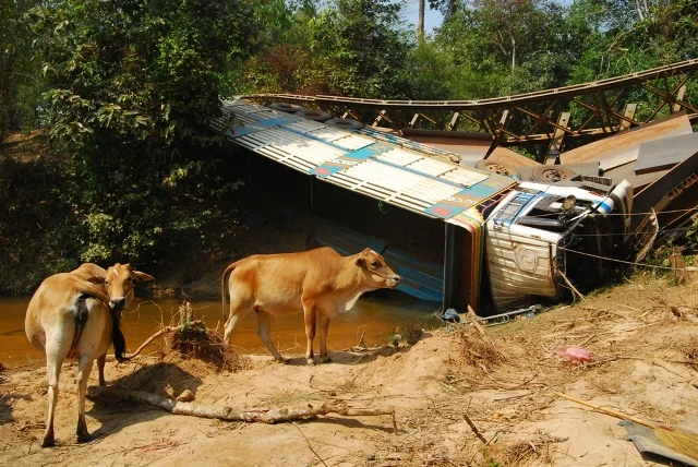  The bridge to Bantay Srei, in the Angkor complex, Cambodia.   