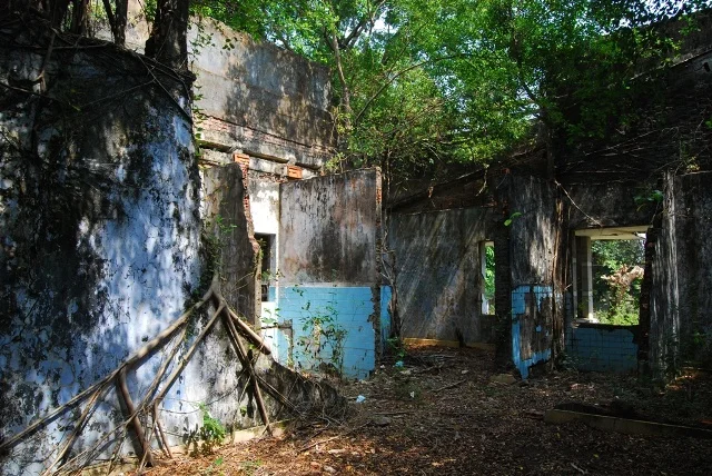  Nature slowly reclaims damaged buildings in the once war-ravaged resort town of Kep, Cambodia.  