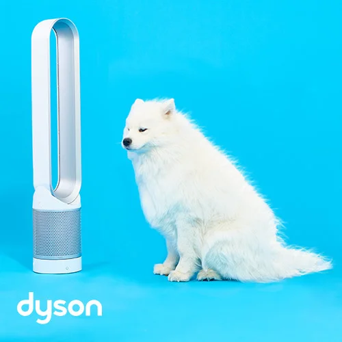 2017_0609_Dyson_HP6.jpg