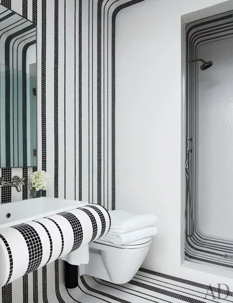 item13.rendition.slideshowWideVertical.delphine-krakoff-new-york-city-11-guest-bathroom-kohler-bisazza-tile.jpg