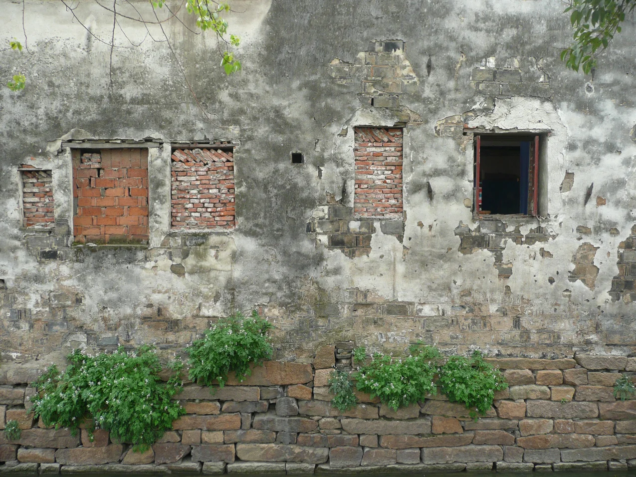 P1000496.jpg