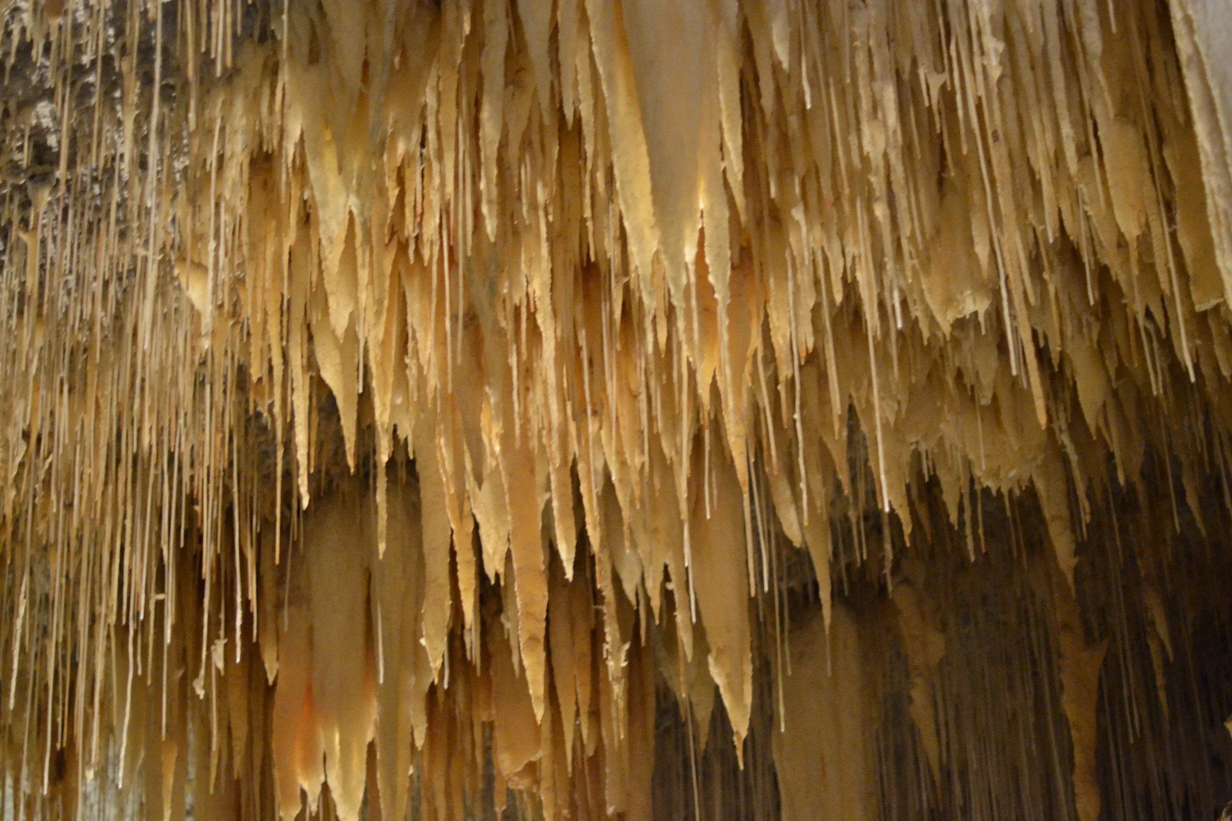 DSC_0258.JPG