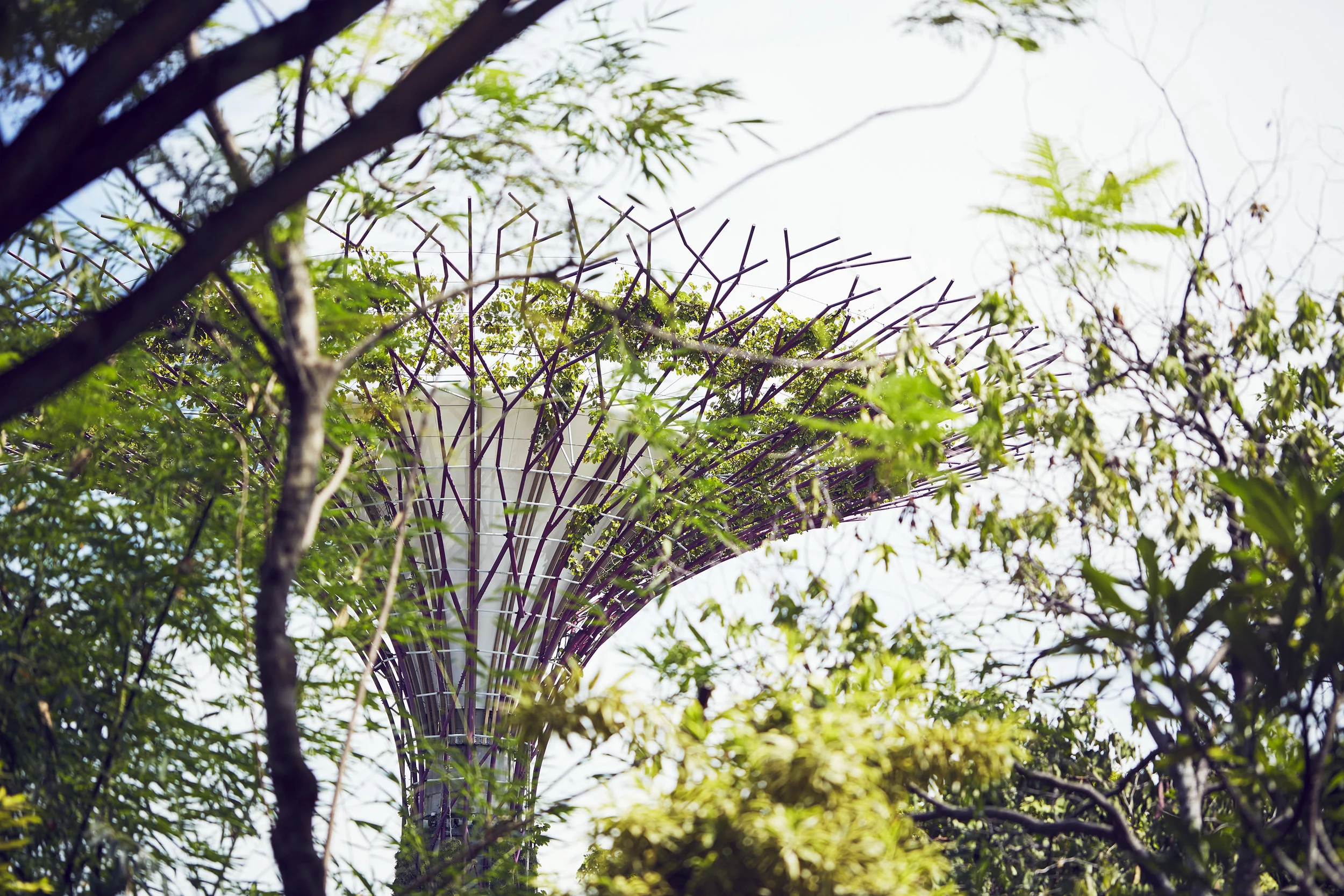 Ma_Singapore_0170.jpg