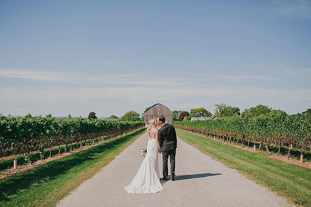 Take me back to sunnier days ☀️ .
.
.
.
.
.
#cavesprings #cavespringswine #cavespringswinery #innonthetwenty #innonthetwentywedding #jordanstation #vineyardwedding #niagarawedding #niagaraweddingphototgrapher #niagaraontario #niagaraonthelake #niagar