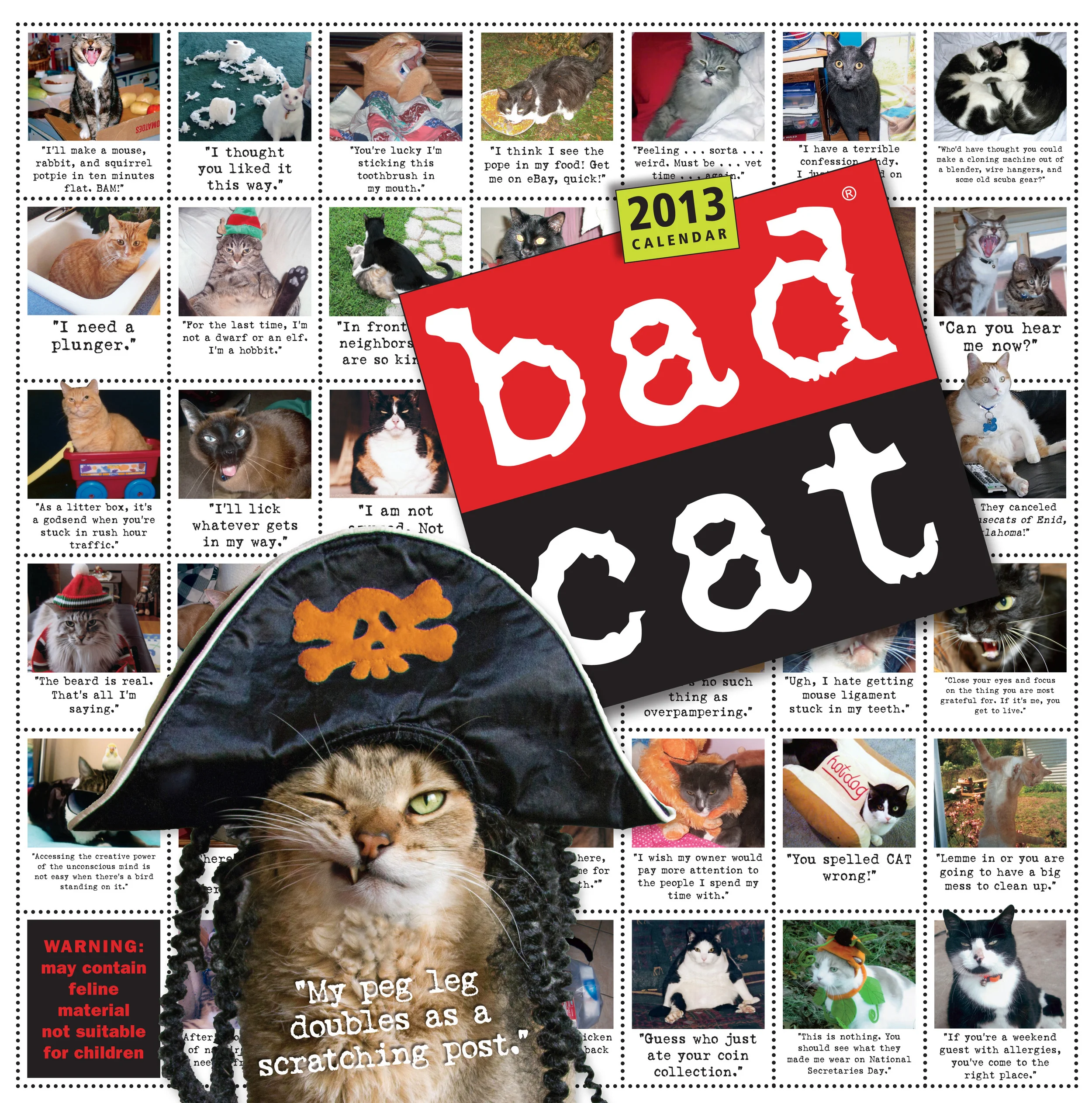 00Bad Cat front_back Cover 2013 ME Final3.jpg