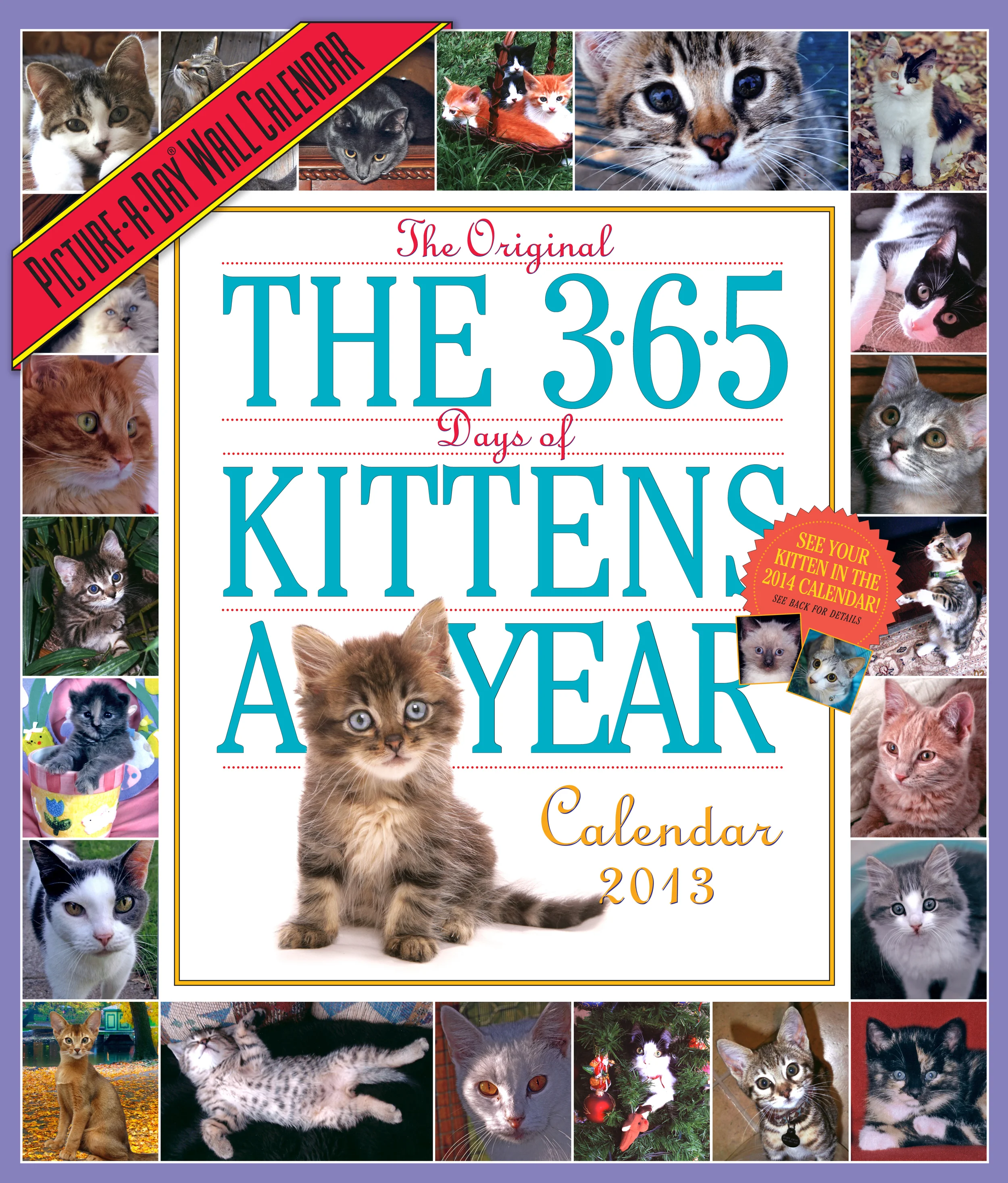 Kittens Cover '13 3rdpp .jpg