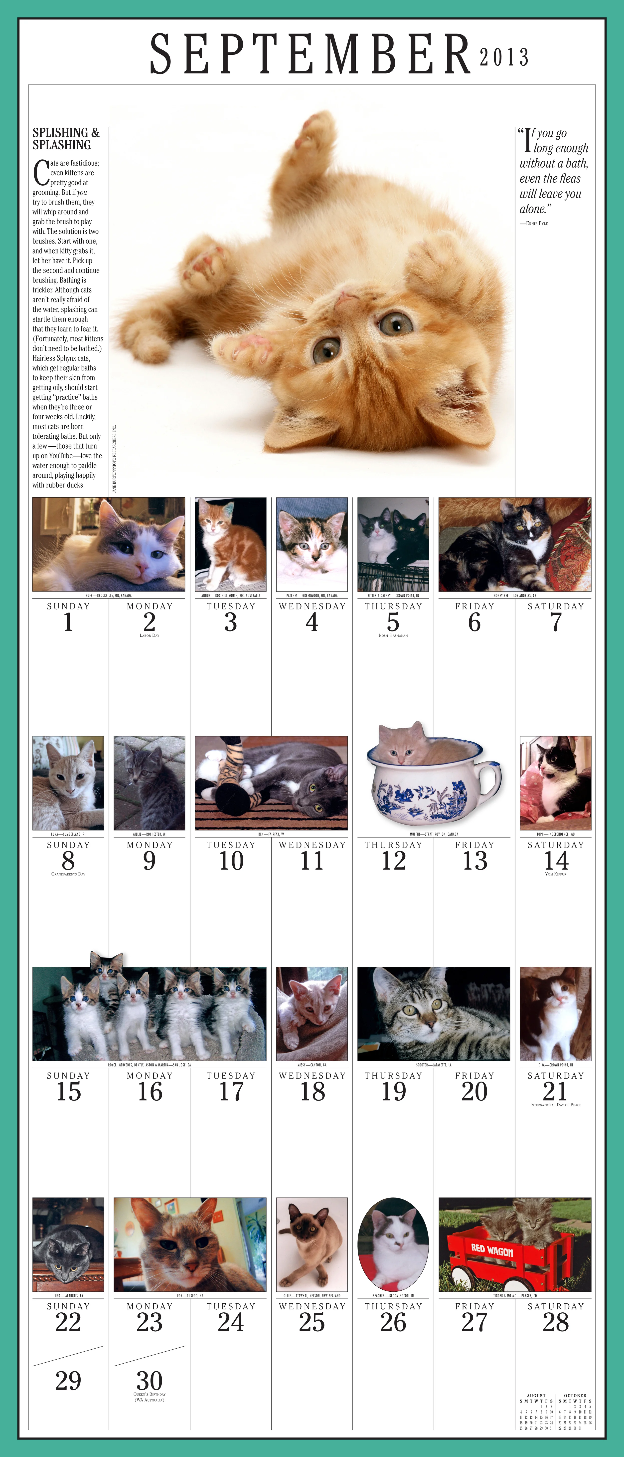 09-Sept Kittens 2013 5th P.jpg