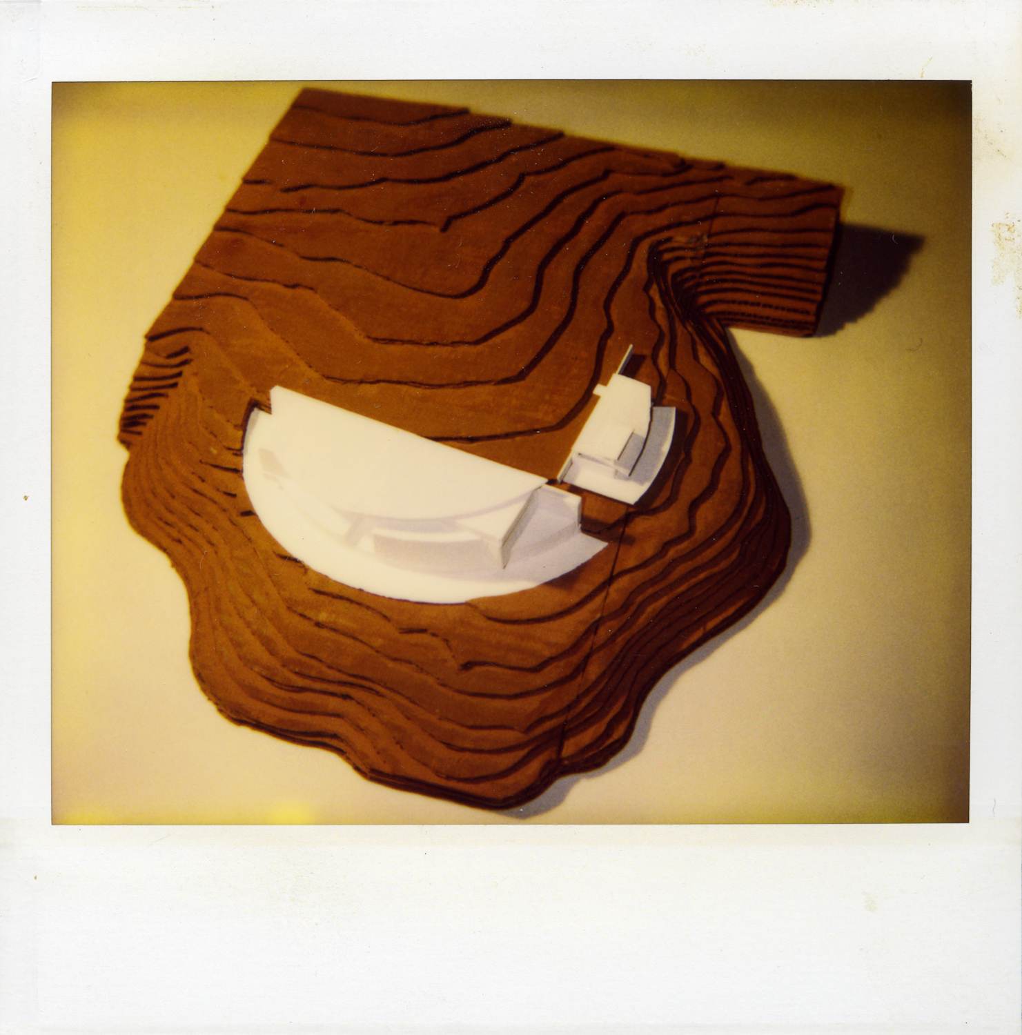 polaroid032.jpg