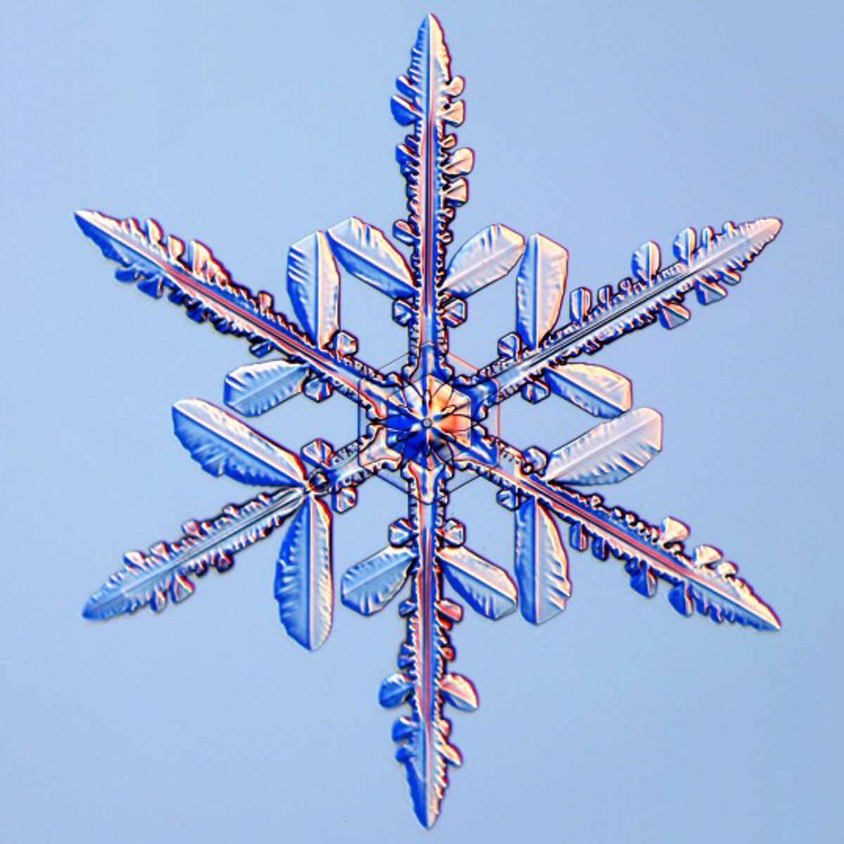 snowflake-4.jpg