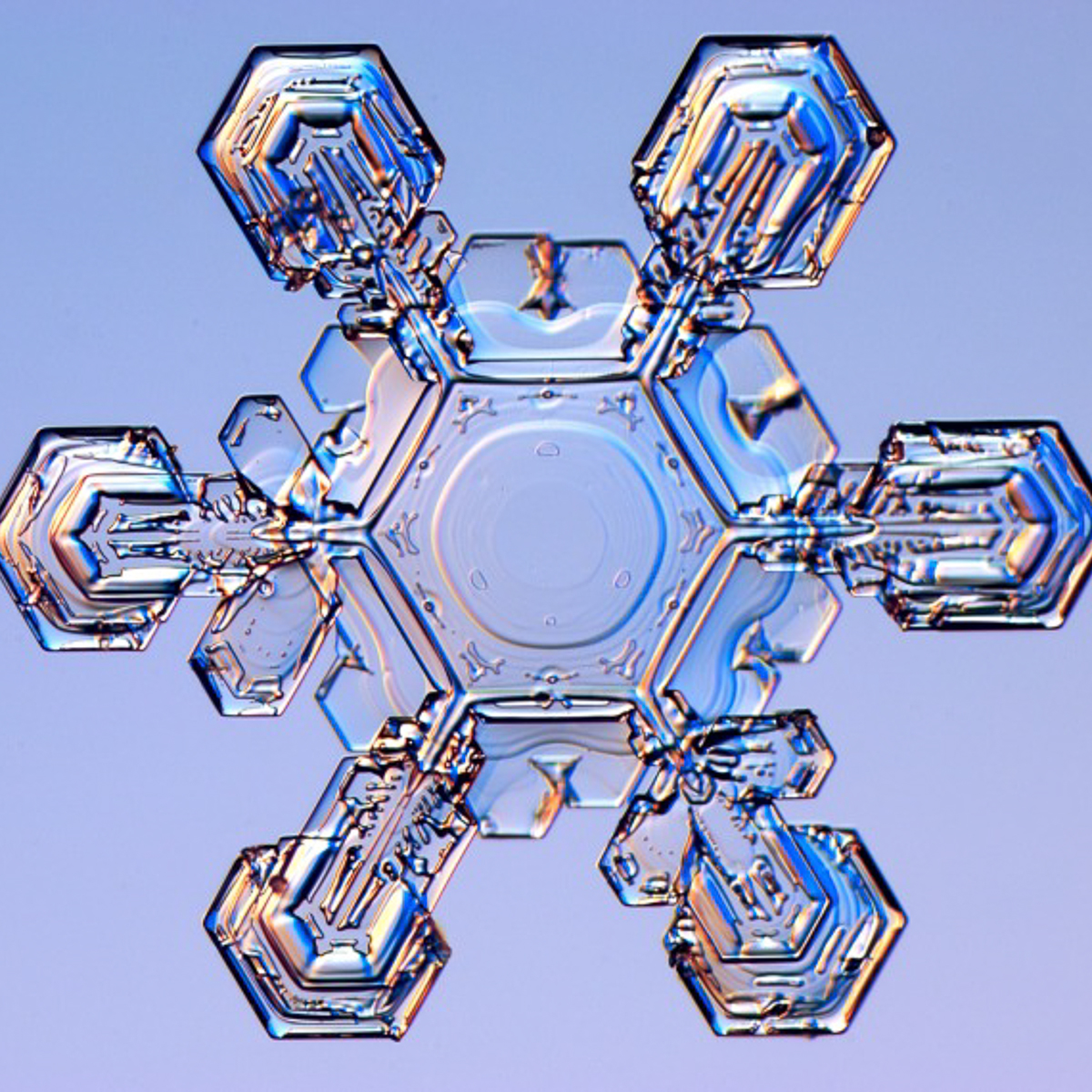 snowflake-3.jpg