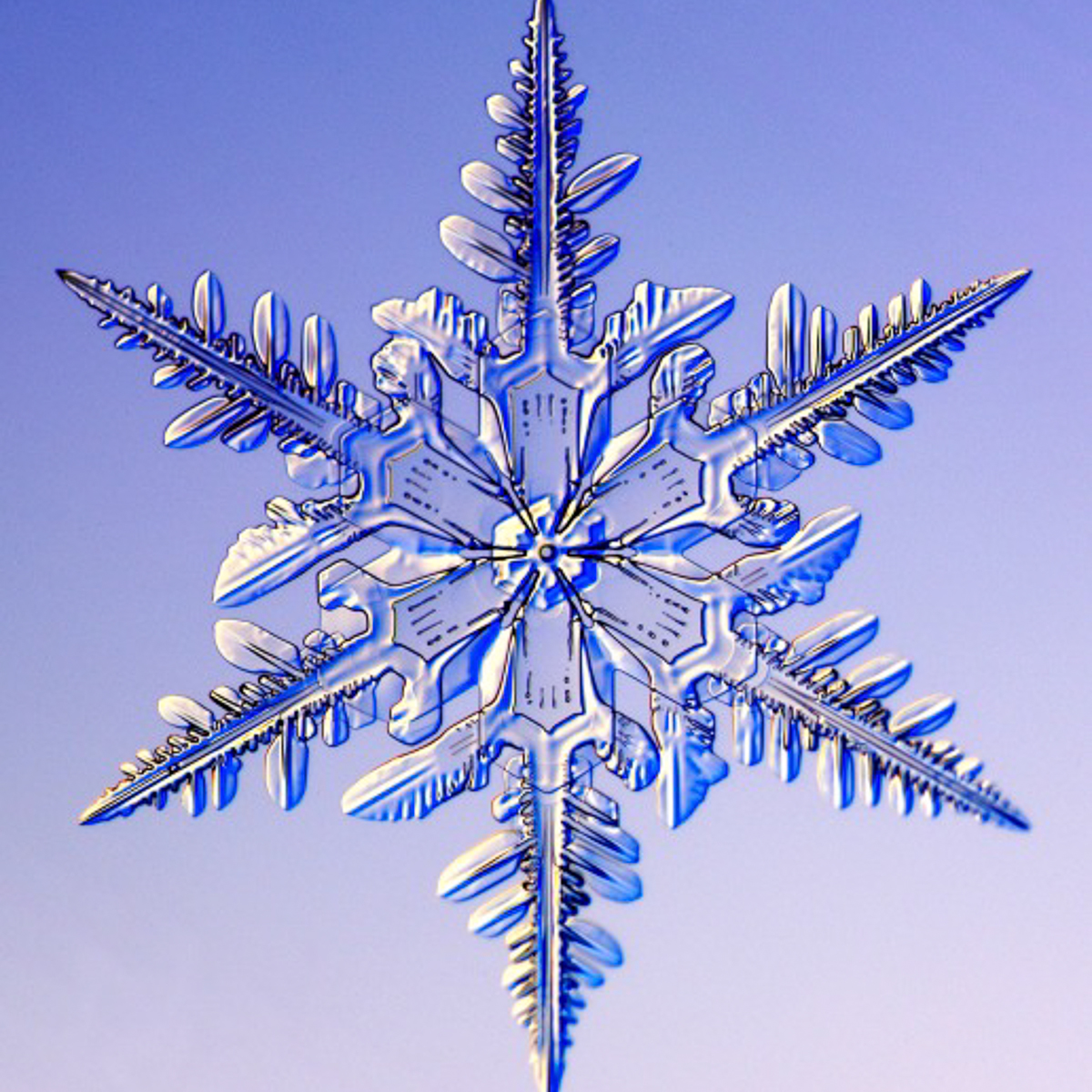 snowflake-6.jpg