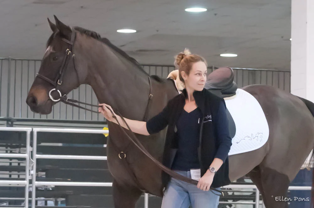 Handling Declan's Moon at the Maryland Horse World Expo for the 100-Day Thoroughbred Challenge with the Retired Racehorse Training Project ( www.retiredracehorsetraining.org ). This photo was captured by Ellen Pons ( www.ellenponsphotography.com ) who lives at Country Life Farm, where Declan's Moon spends his retirement from racing.