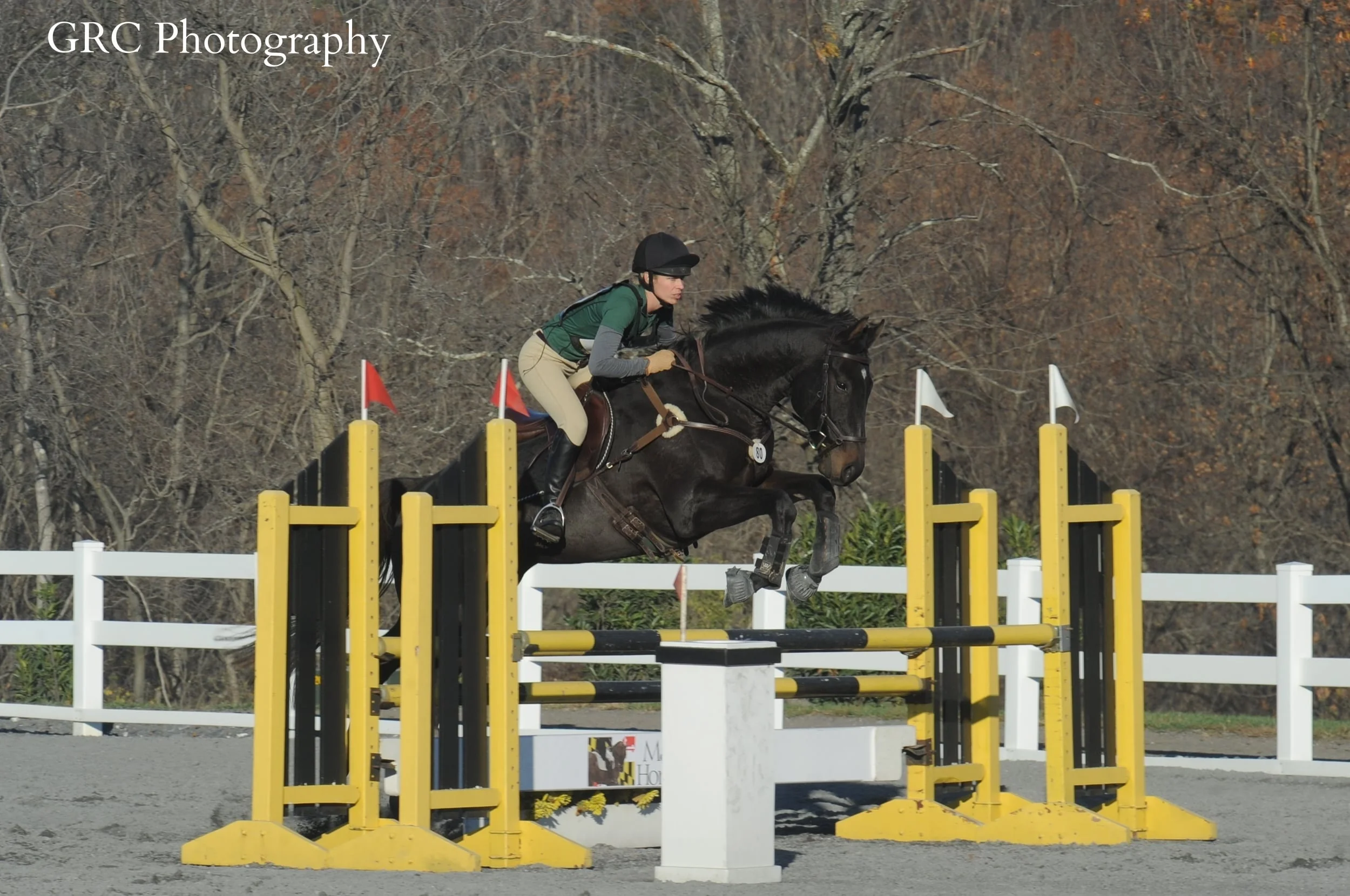 Diaz show jumping at his first Training, Loch Moy, 8 Nov 2015