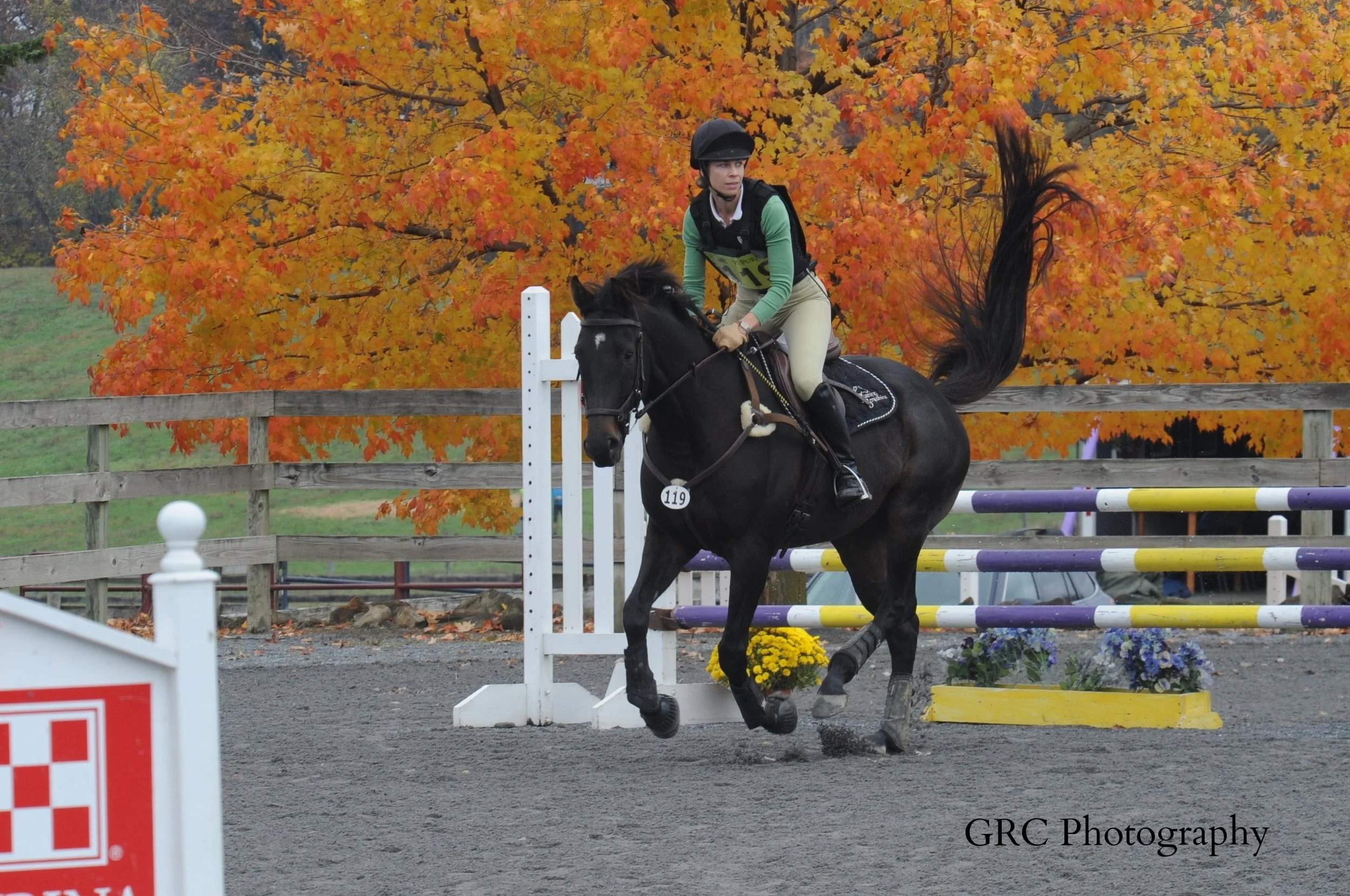 Diaz show jump, first T/N at Waredaca, Oct 2015