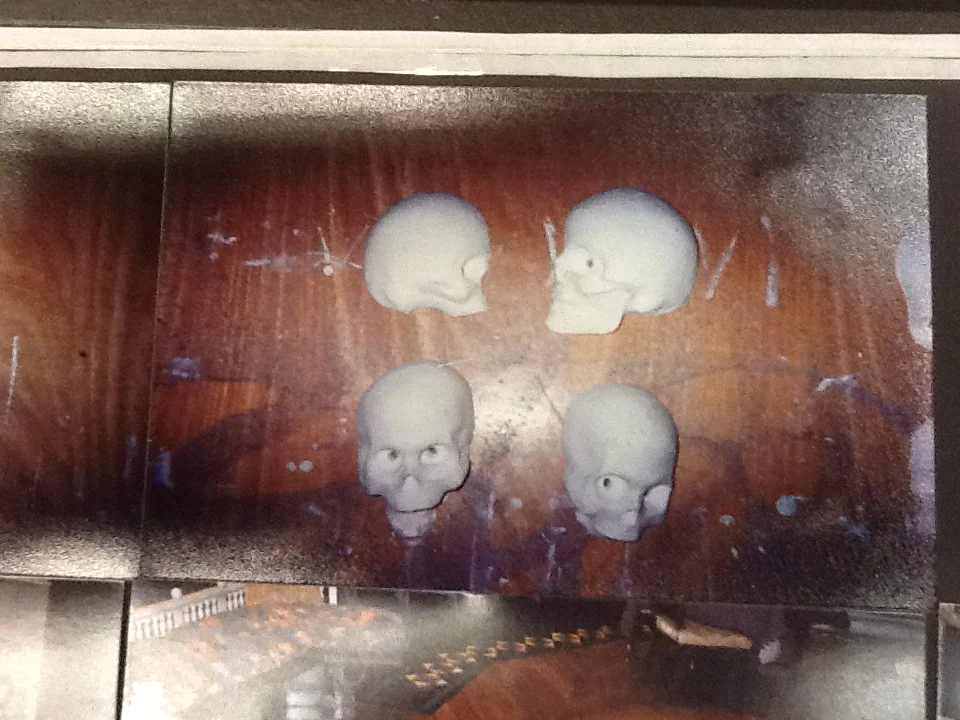 Vacu Form skull wall skulls made from plaster