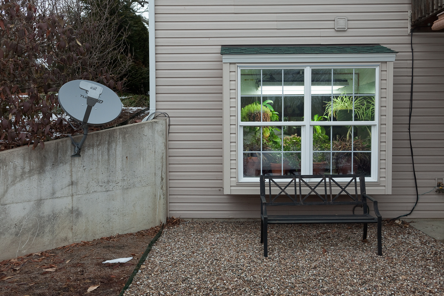 010414_DadHousePlantWindow.web.jpg