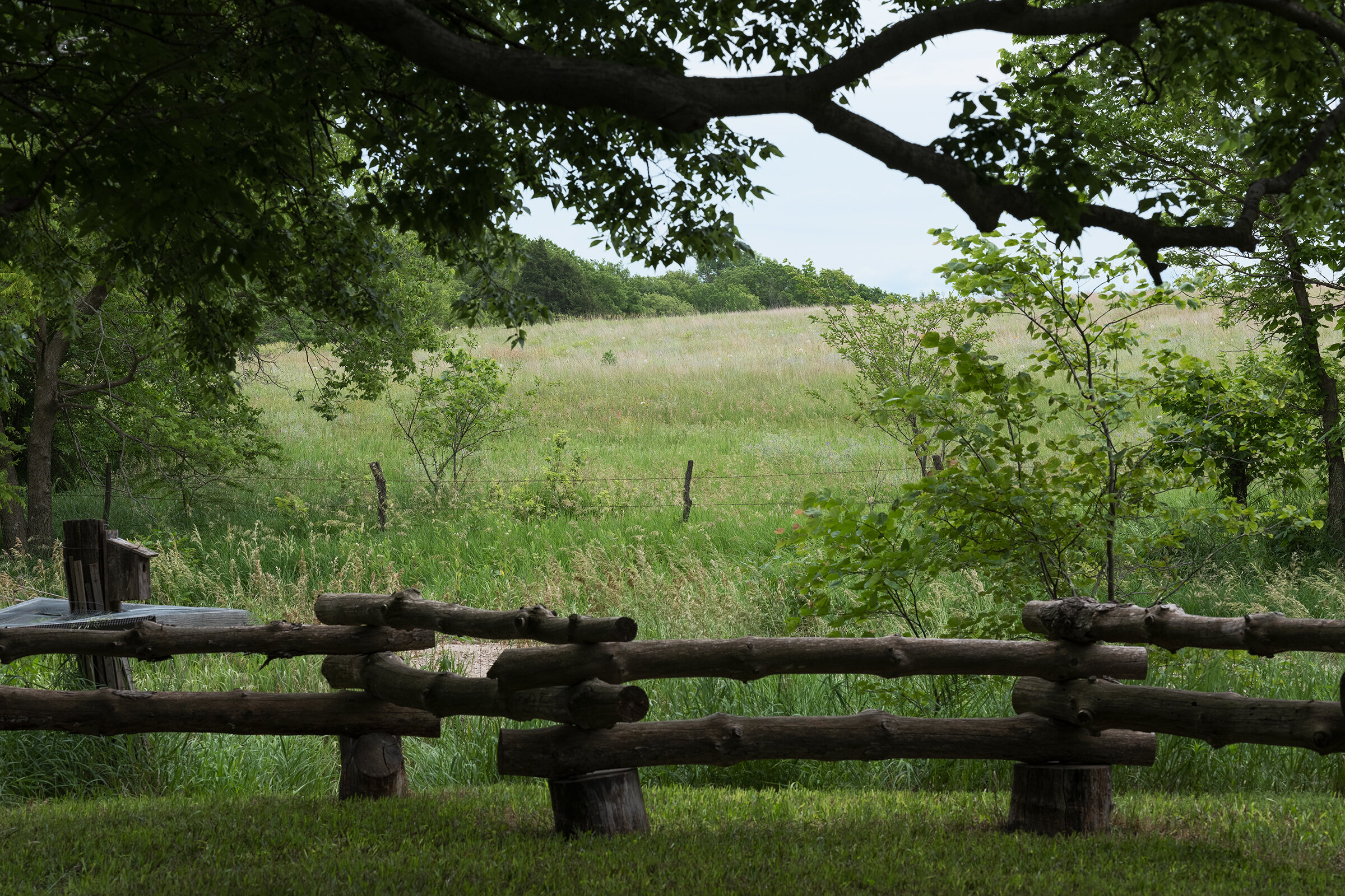 EliseKirk_MiddleOfEverywhere_TimView-0172.Web2400NoSharp.jpg