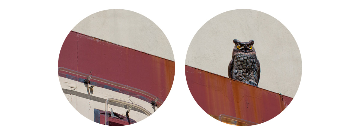 HeaderAnimation_F8.jpg
