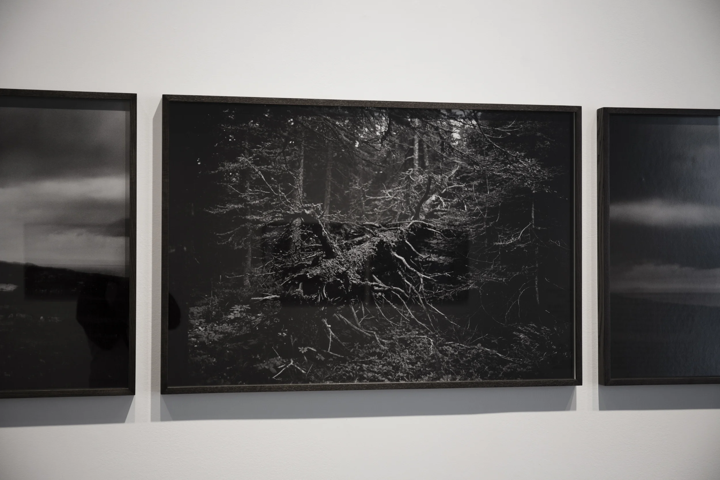 2019, Entre fleuve et rivière. Exposition réalisée en collaboration avec Christophe Goussard. Manif d’art & Rencontres internationales de la photographie en Gaspésie, Québec