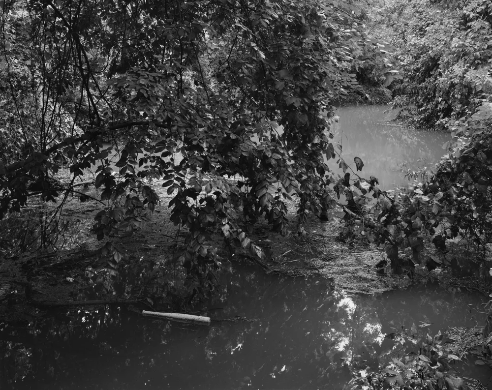 Baseball Bat in Flood Water, August 2017