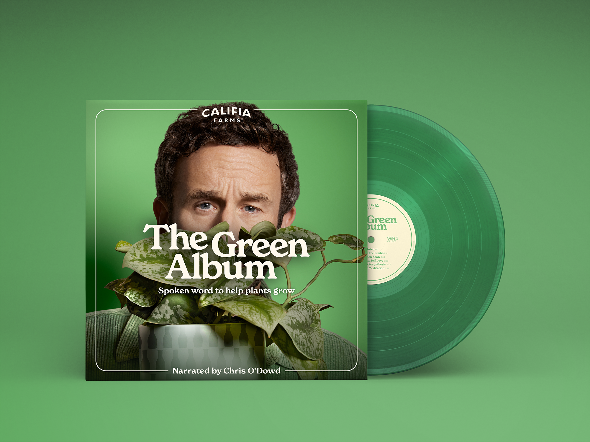 GreenAlbumSeamlessMockv2.png