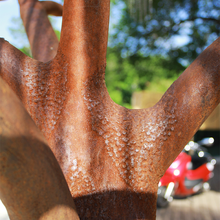 ACACIA DETAIL TRUNK LR.jpg