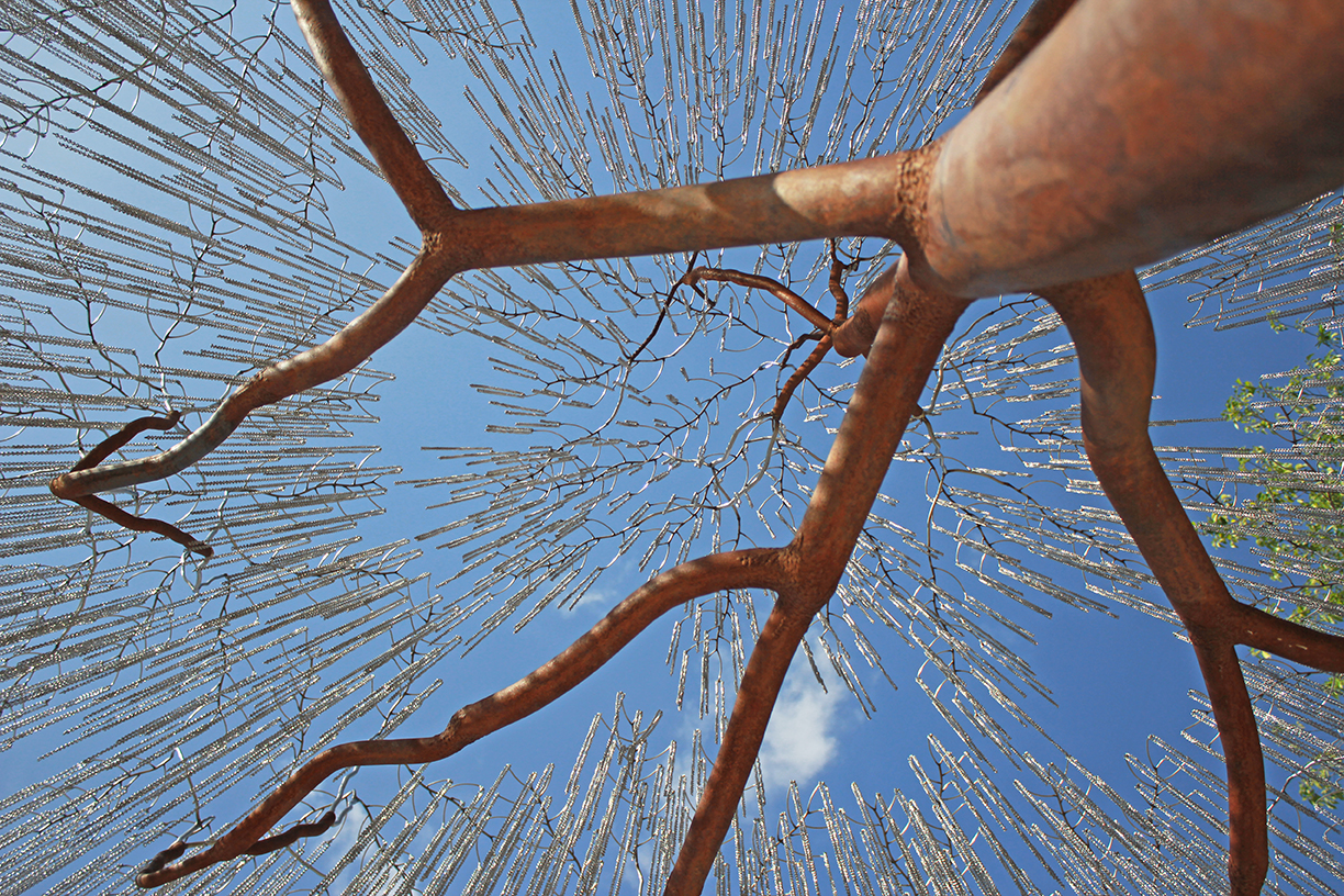 ACACIA SKY DETAIL LR.jpg