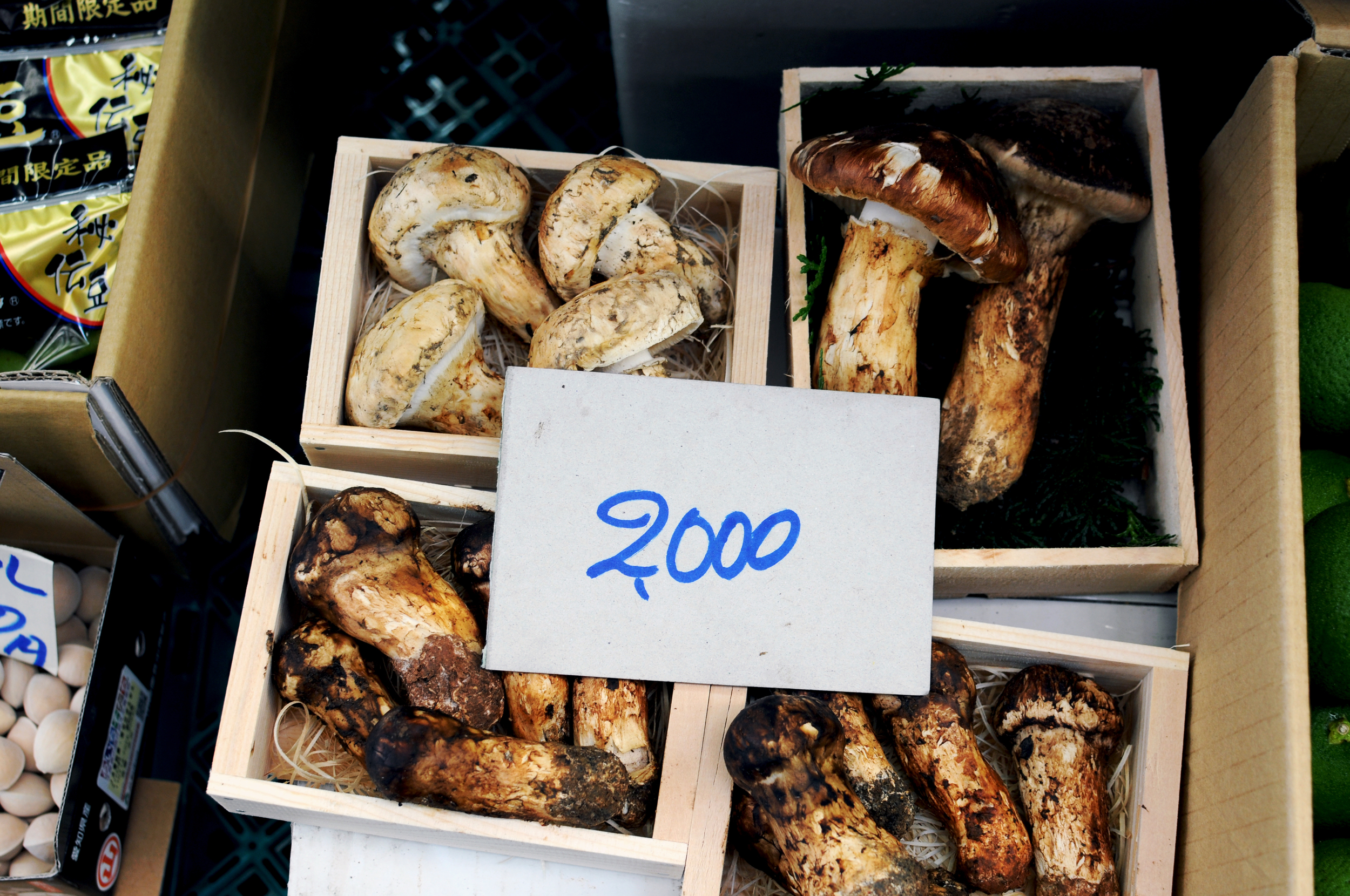  Tsukiji Market 