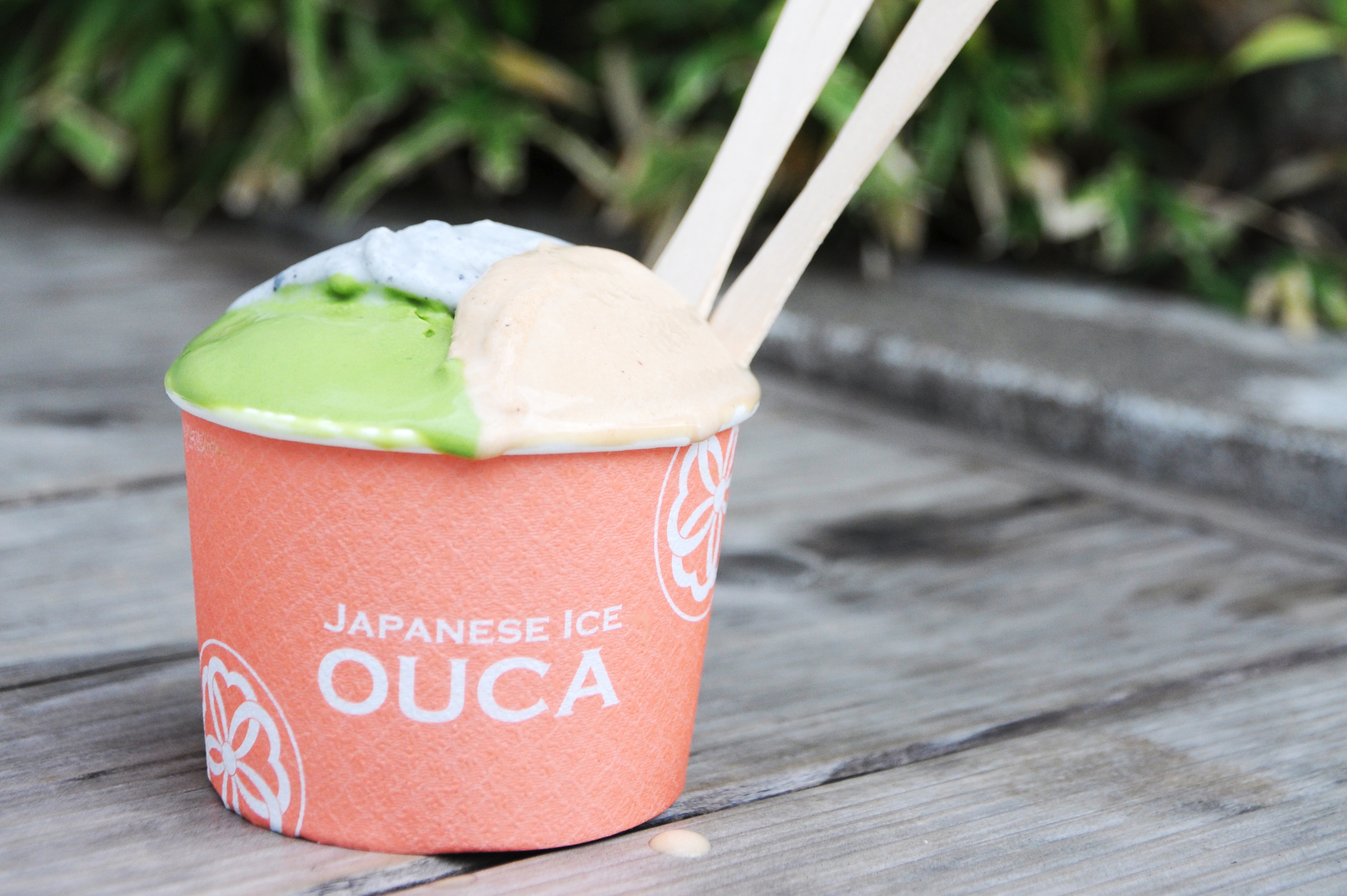  Ice cream at Japanese Ice Ouca 