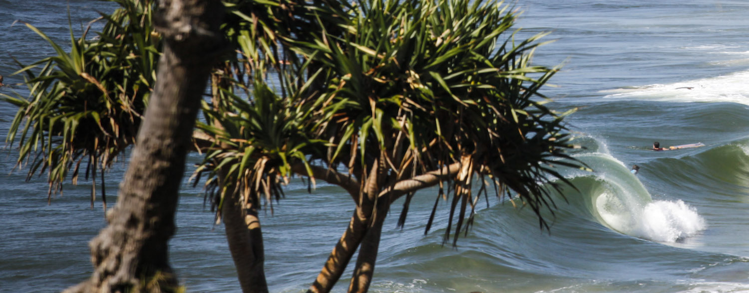 Byron Bay Surf