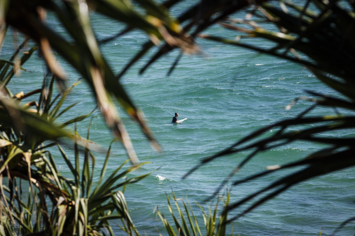 Solo Surfer