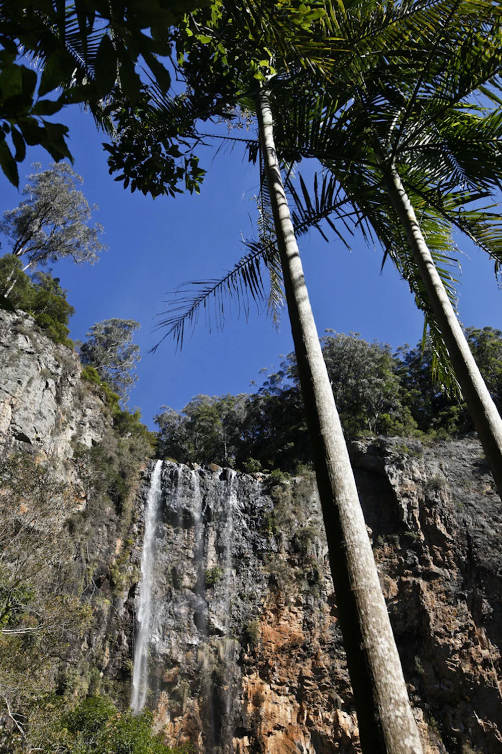Purling Brook Falls